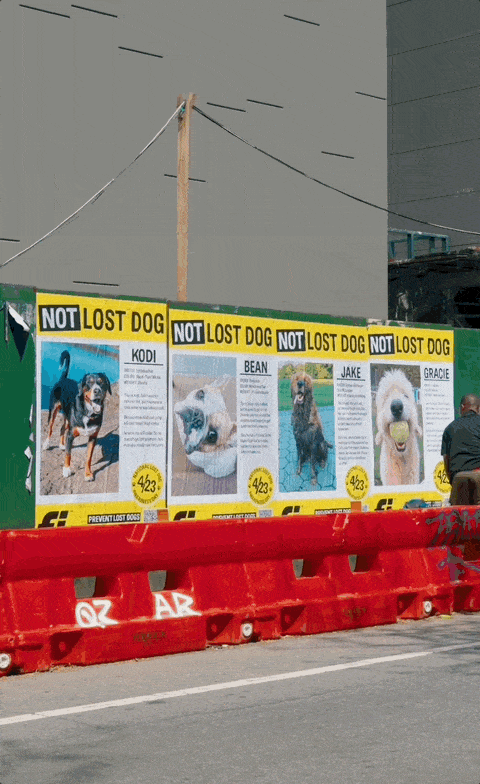 Fi | National Lost Dog Day