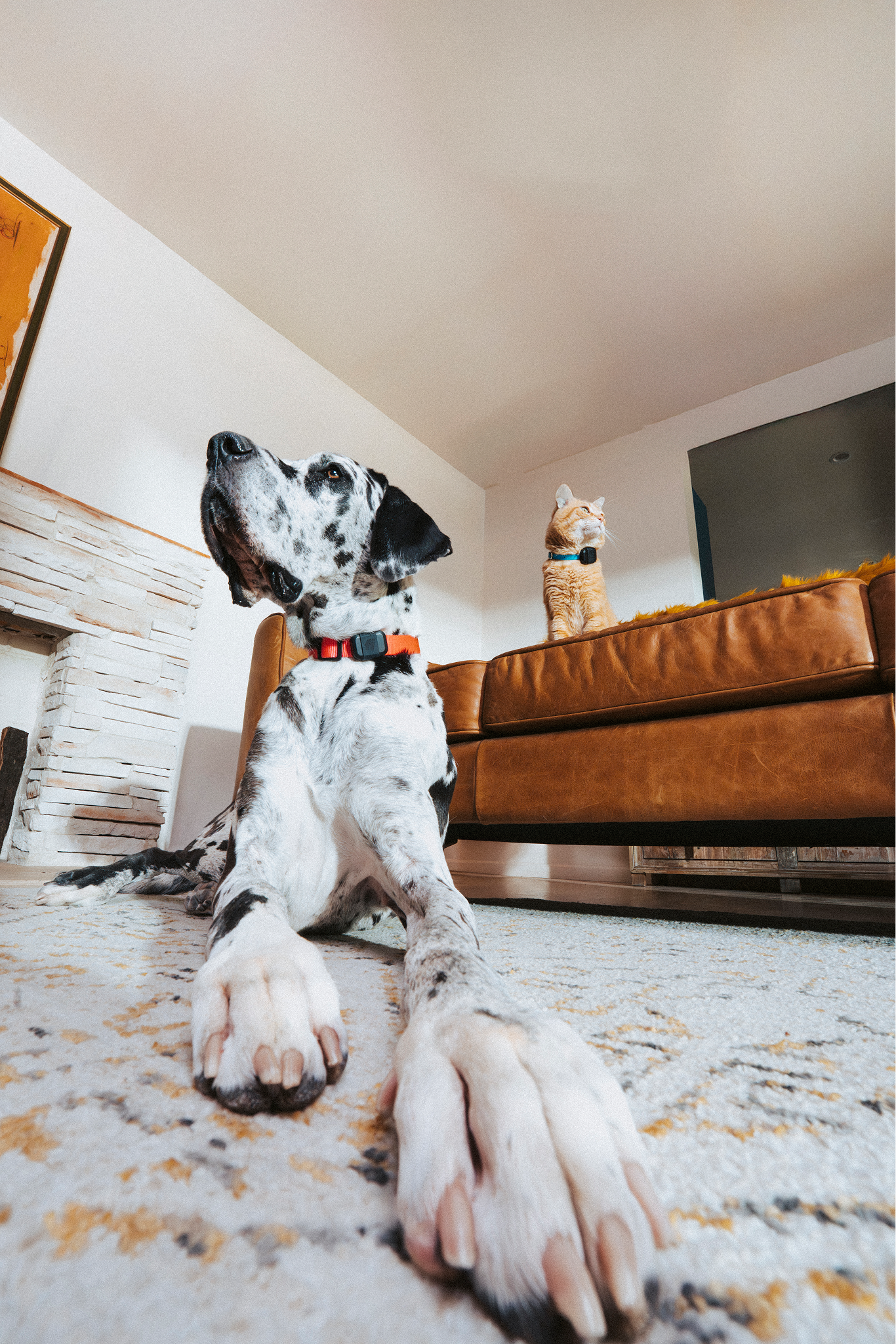 250711_Fi_RyoSato_2241-Edit.png