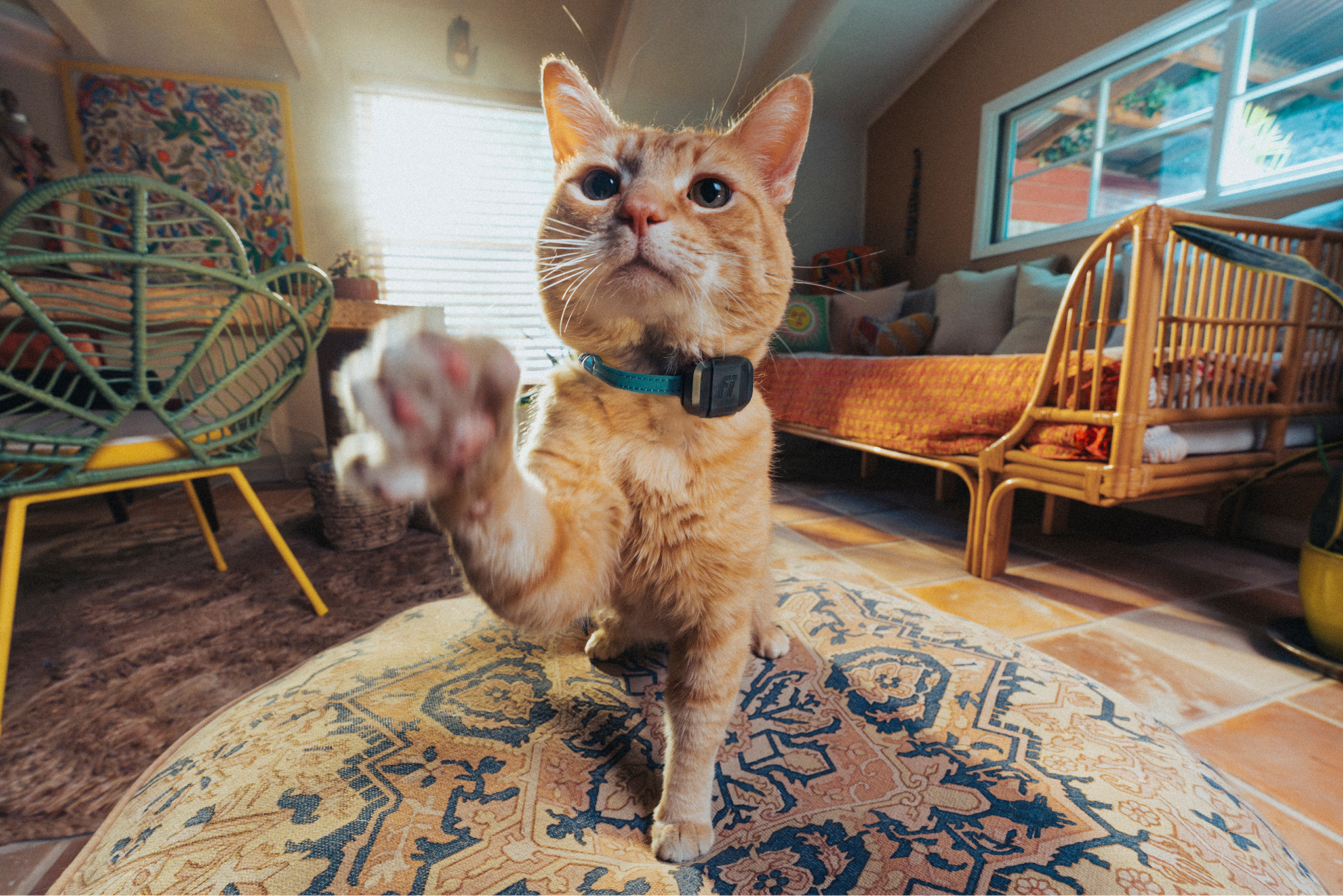 250711_Fi_RyoSato_1188-Edit.png