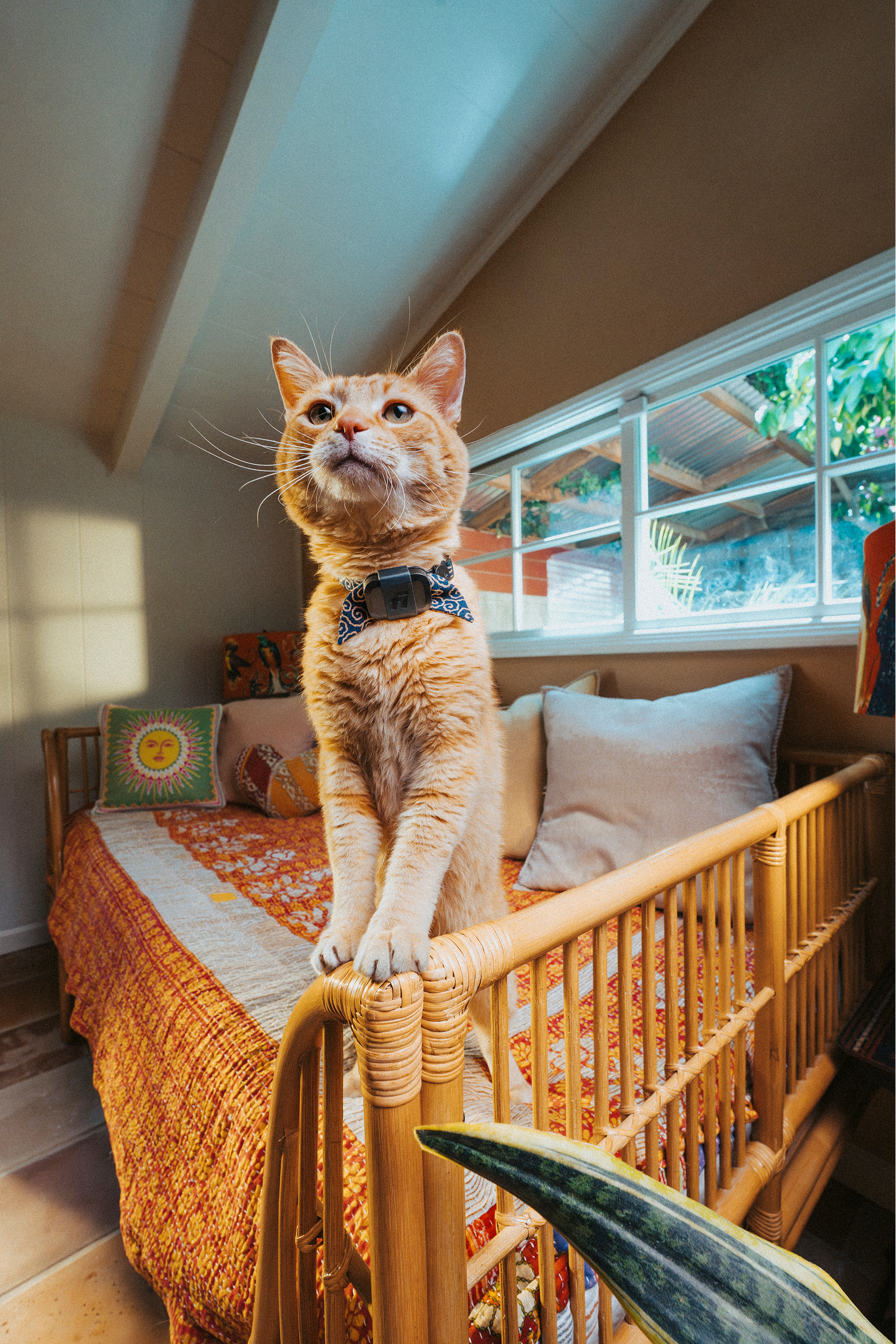 250711_Fi_RyoSato_1688-Edit.png