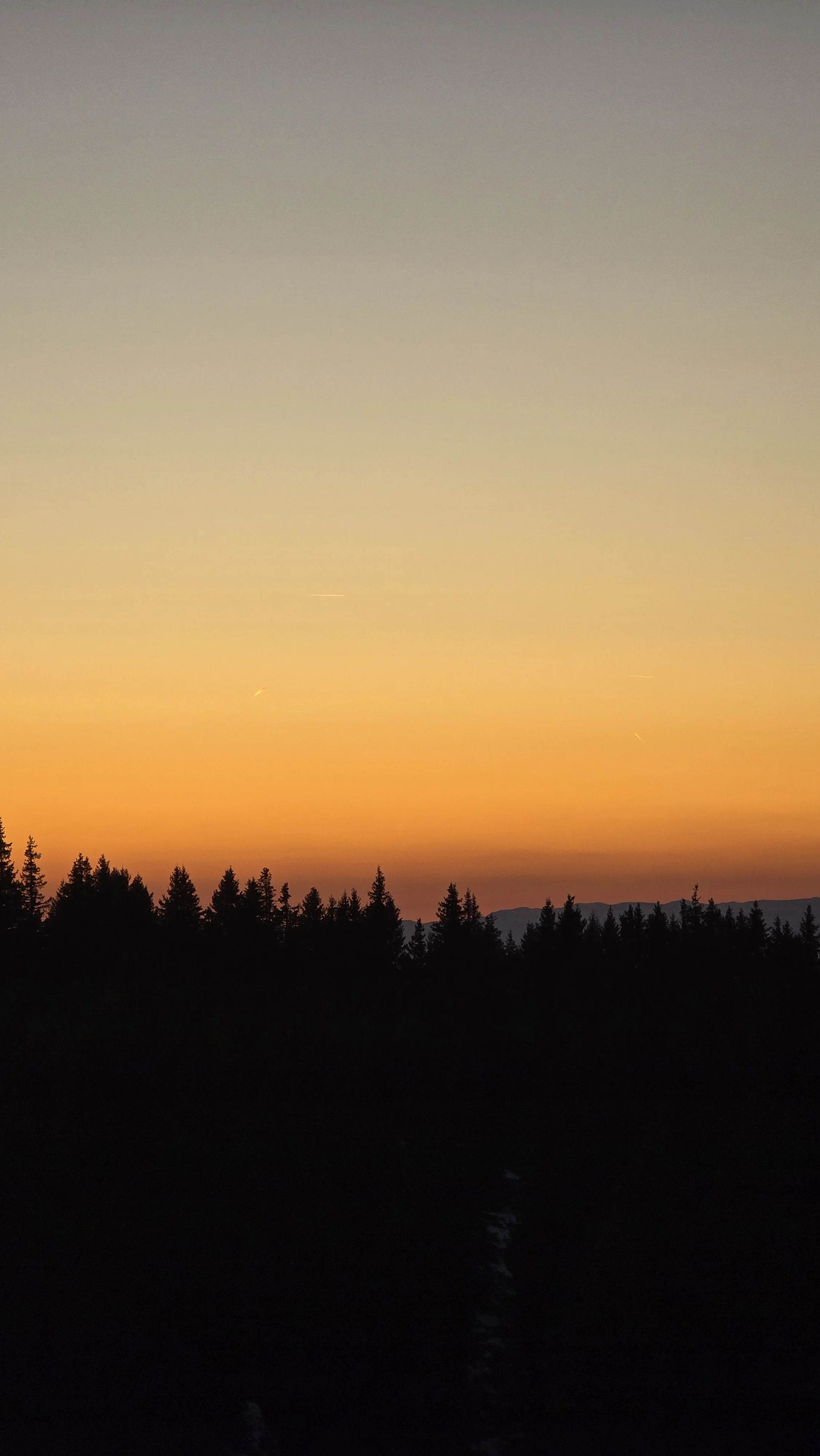 20260408_202412.jpg