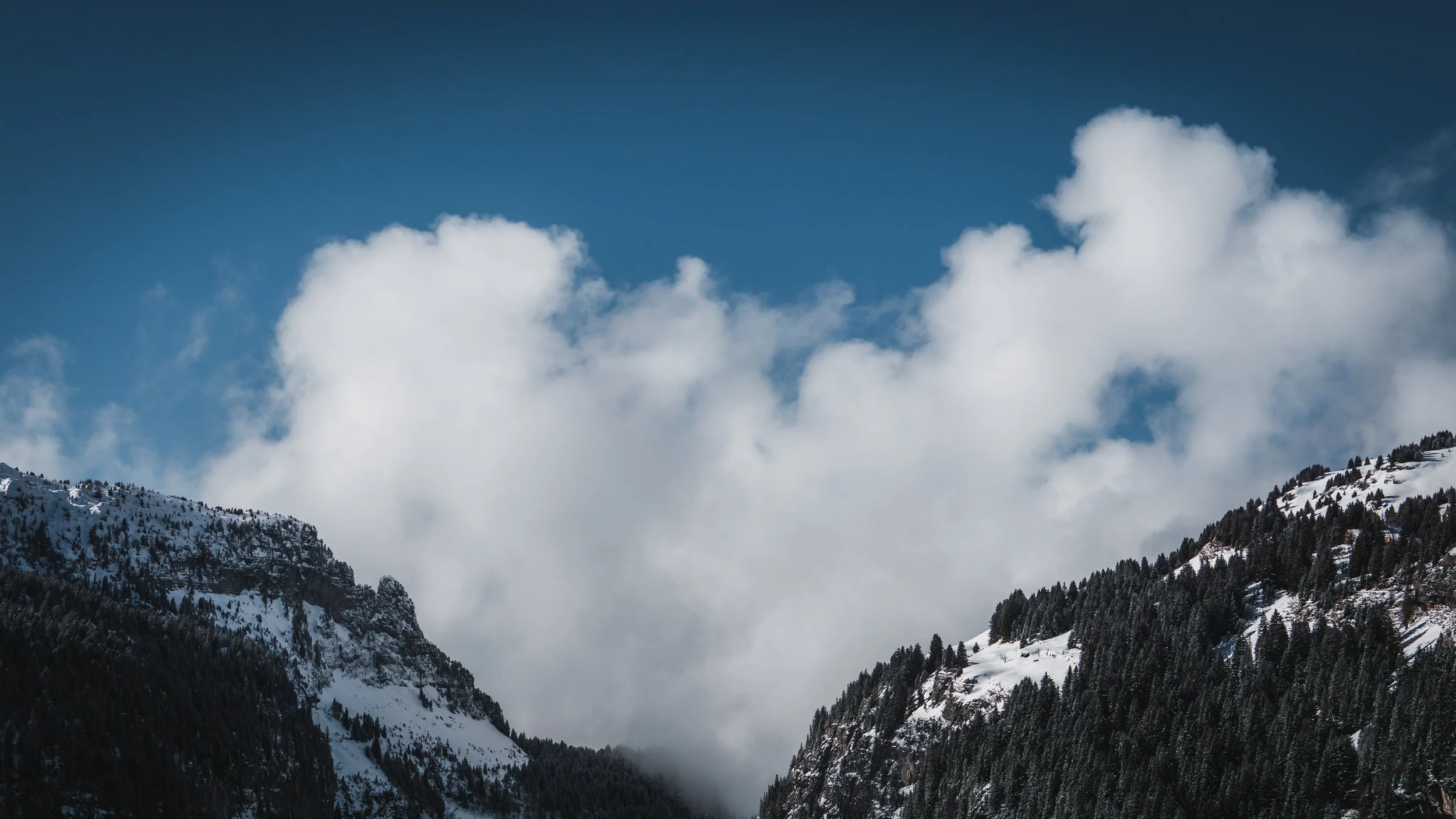 FLAINE-13.jpg