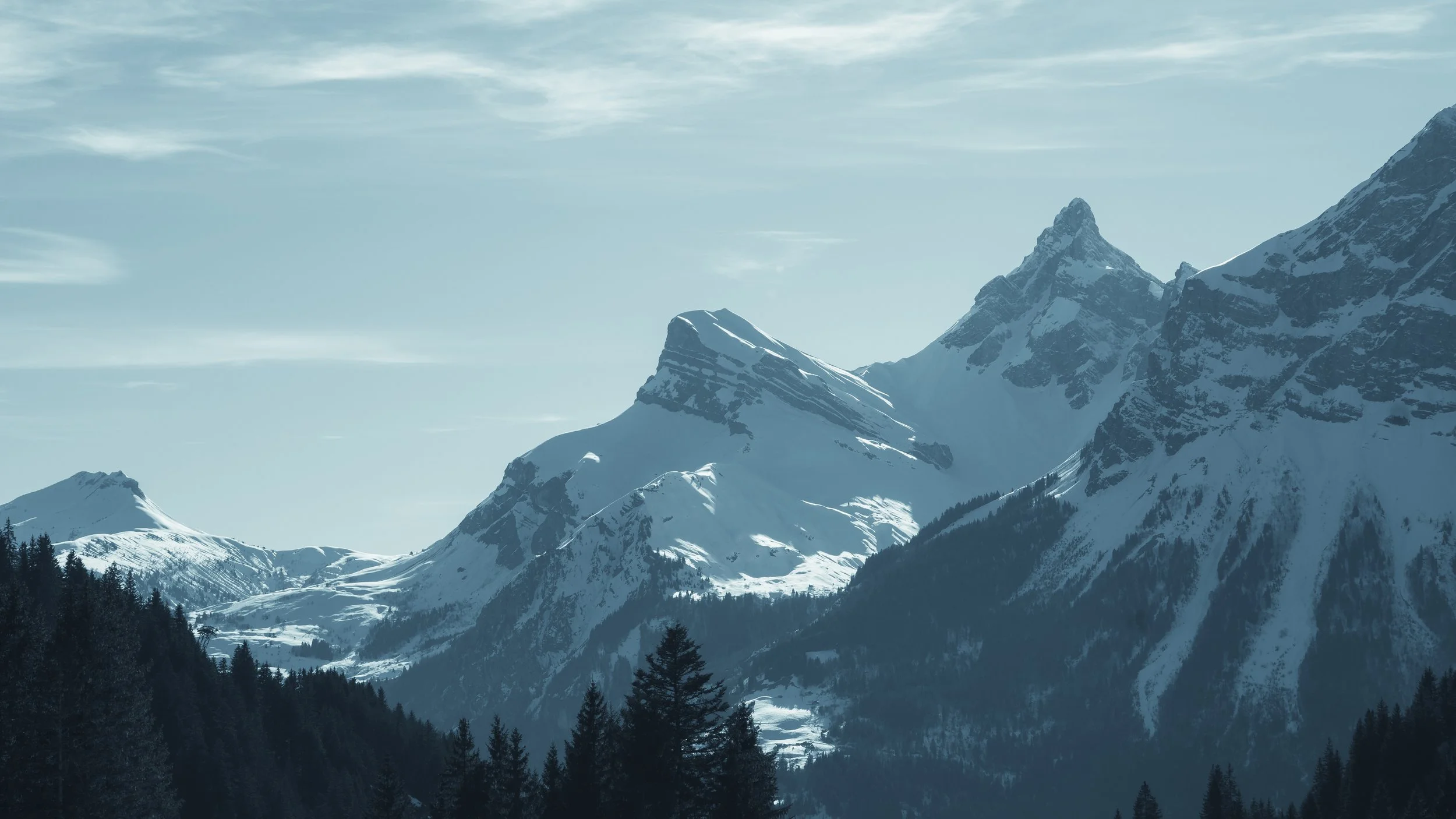 FLAINE-26.jpg