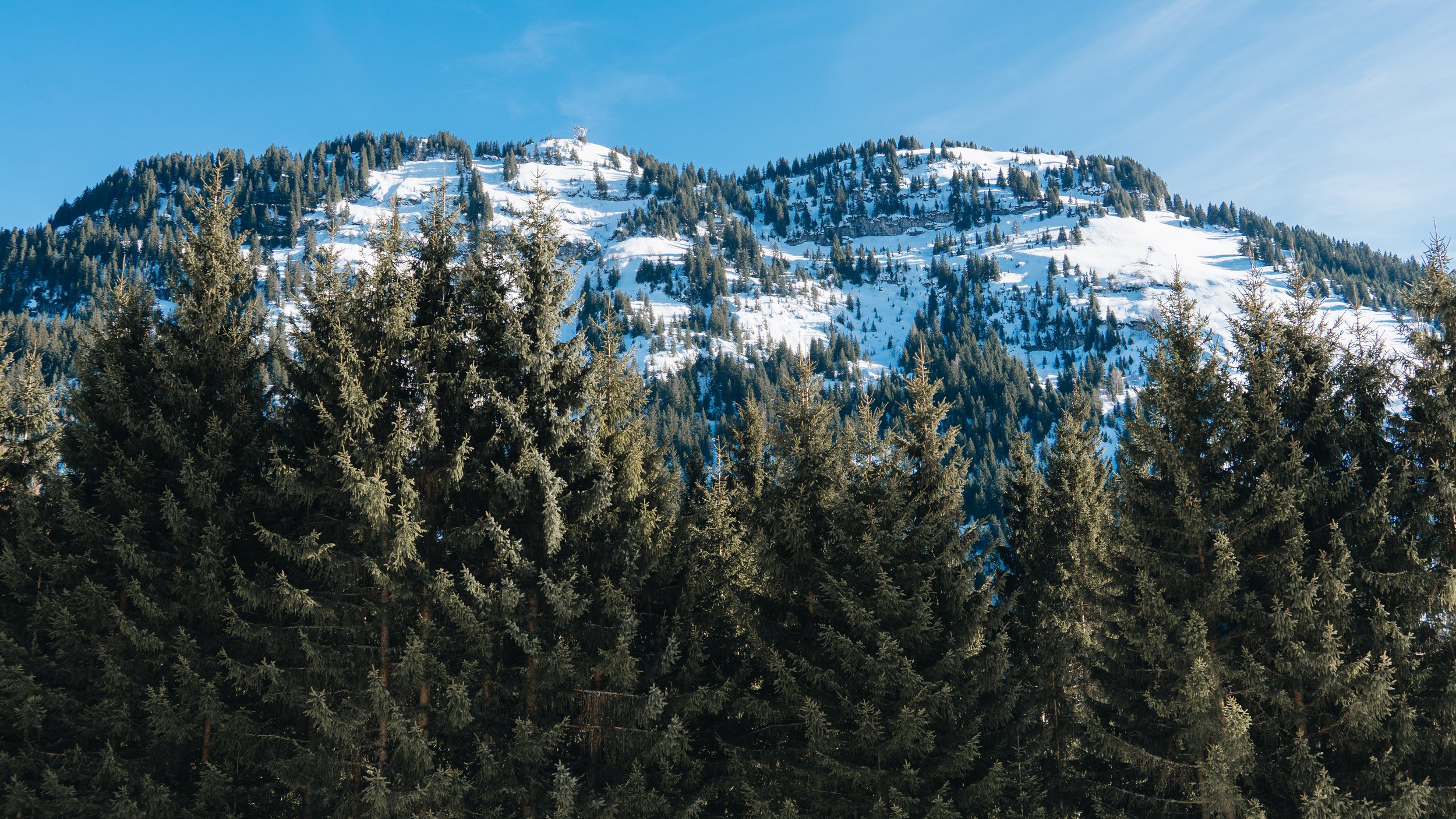 FLAINE-31.jpg
