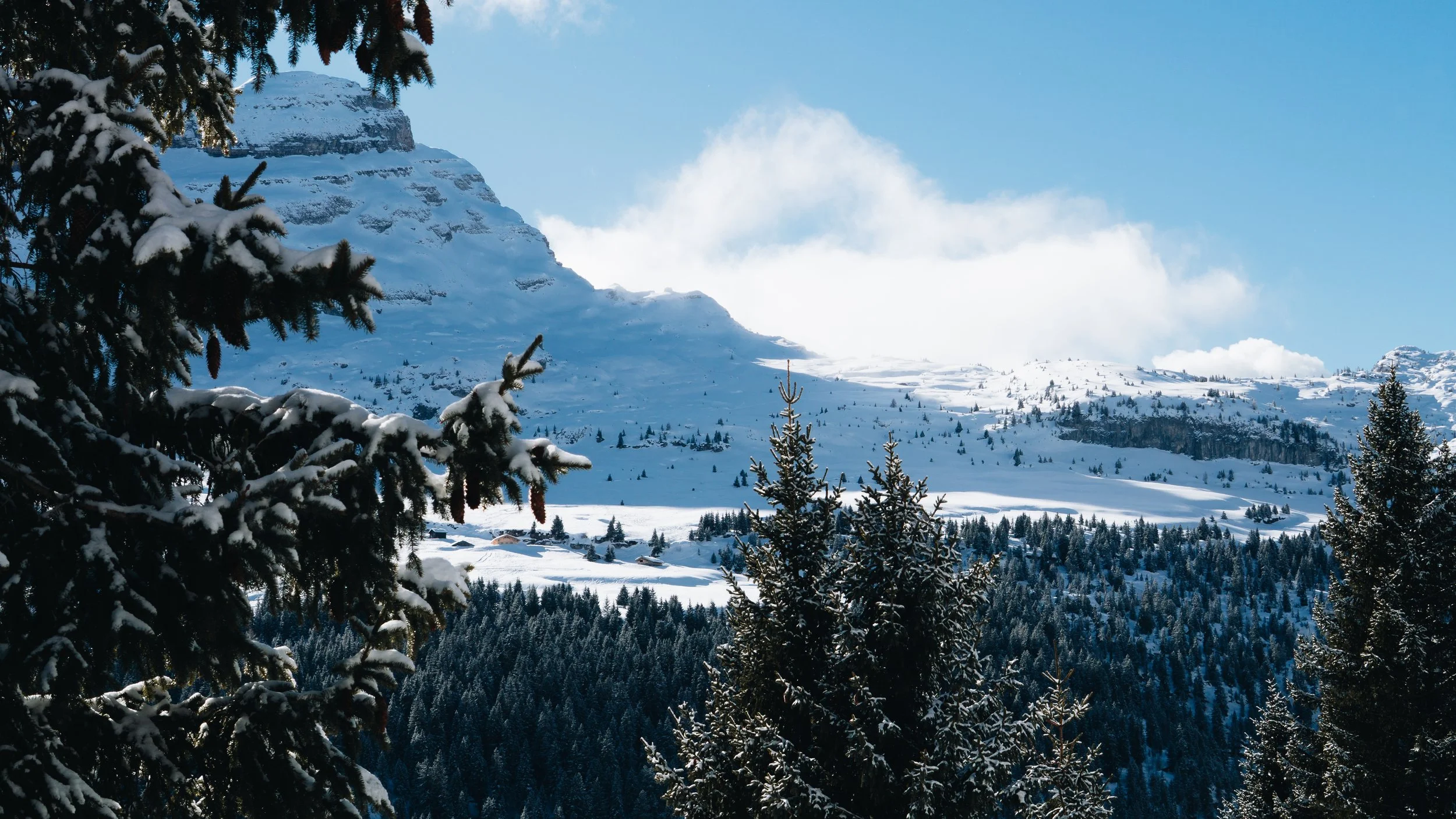 FLAINE-10.jpg