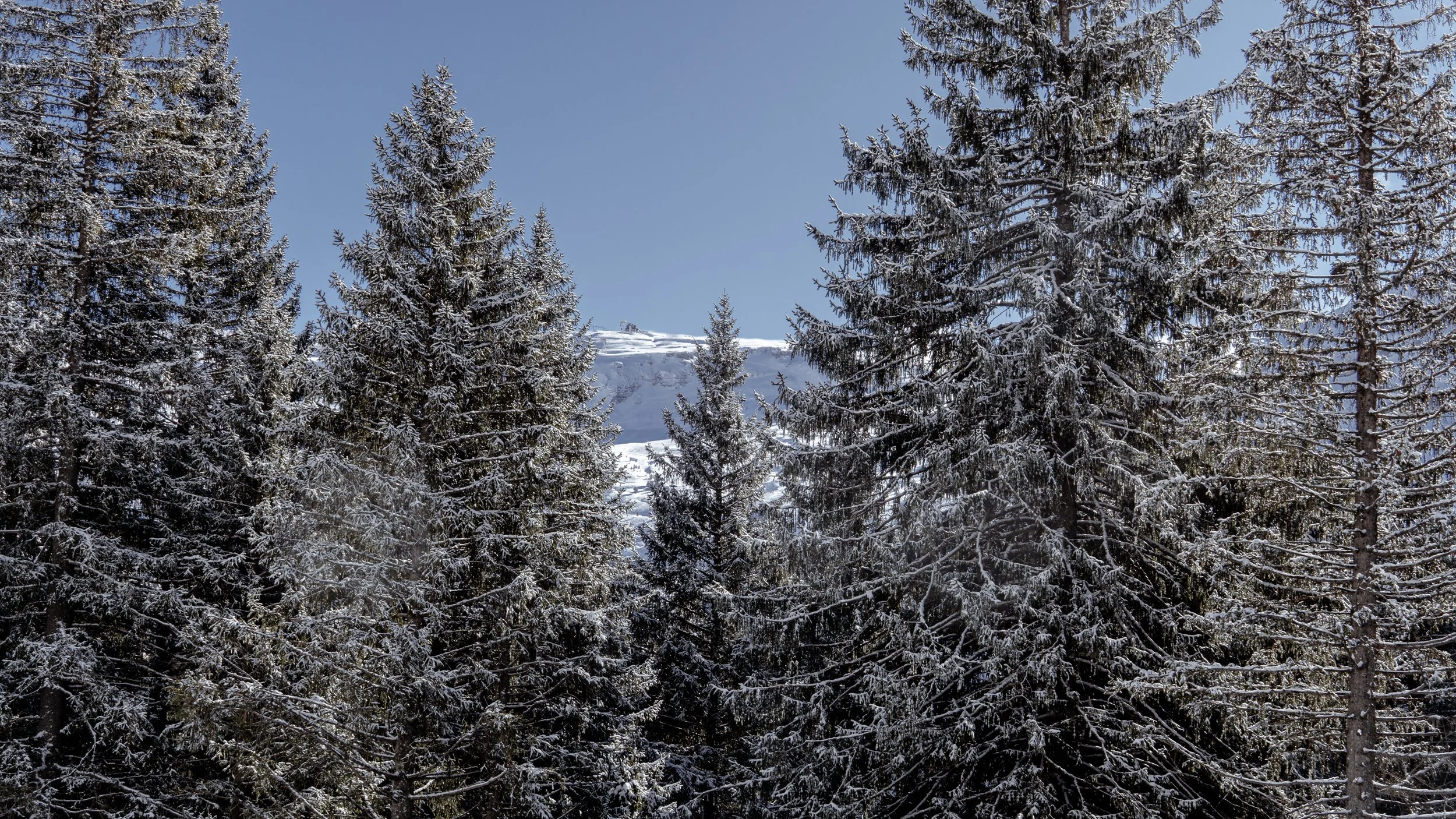 FLAINE-5.jpg