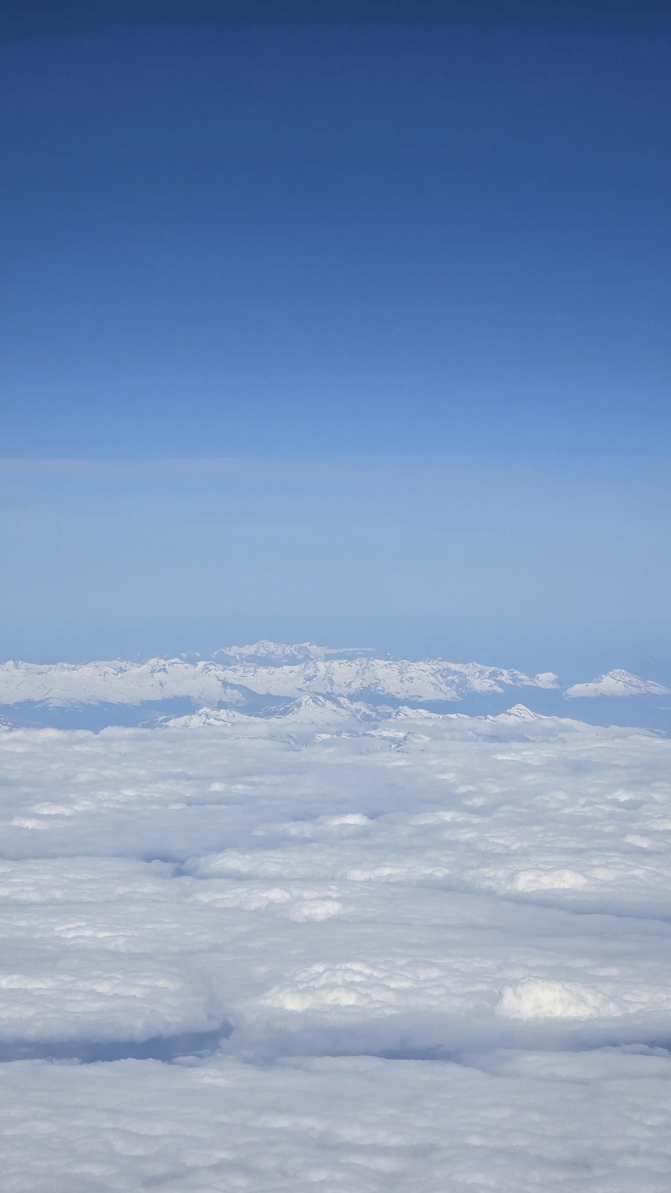 20260313_143700.jpg