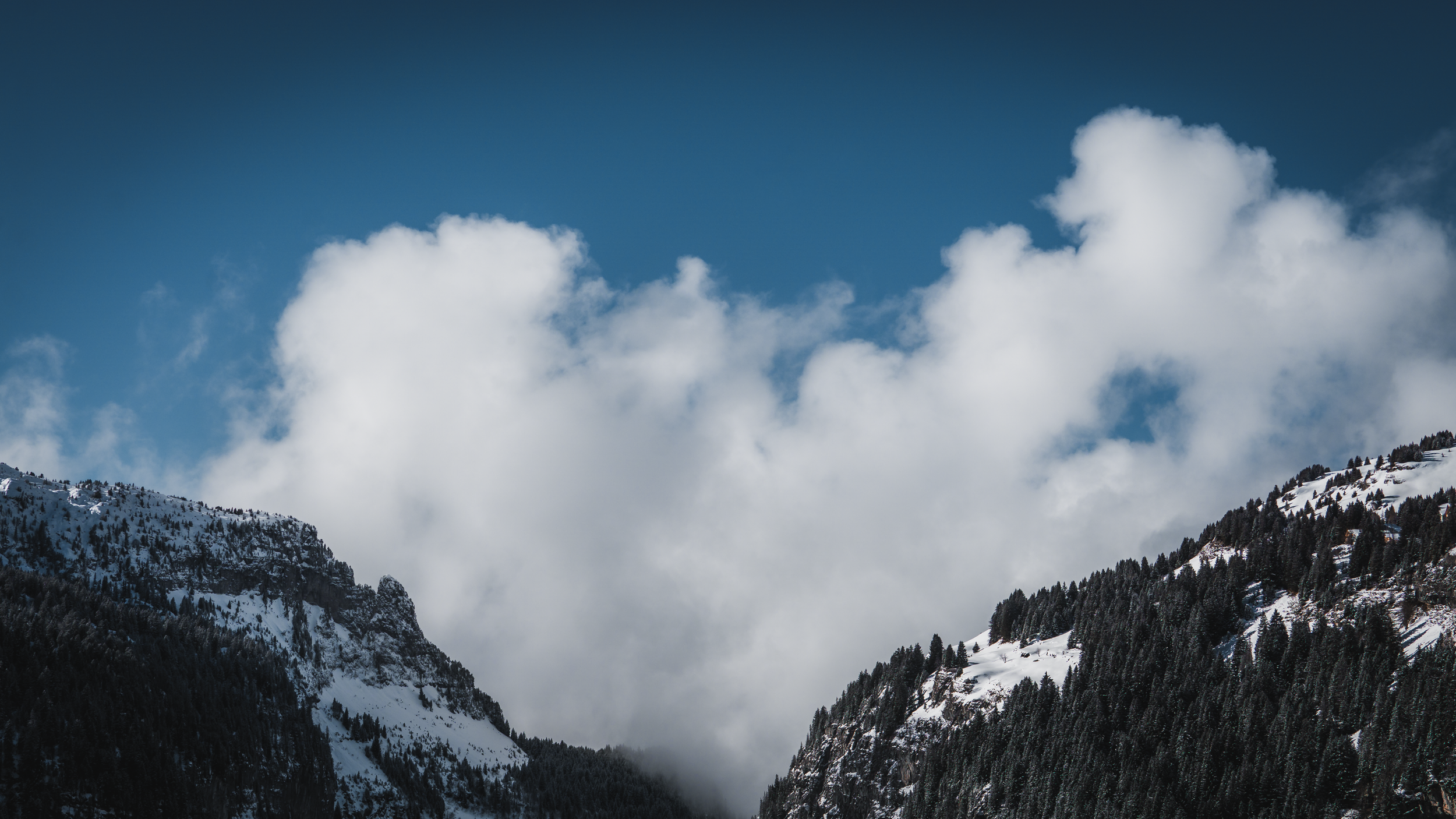 FLAINE_2026-17.png