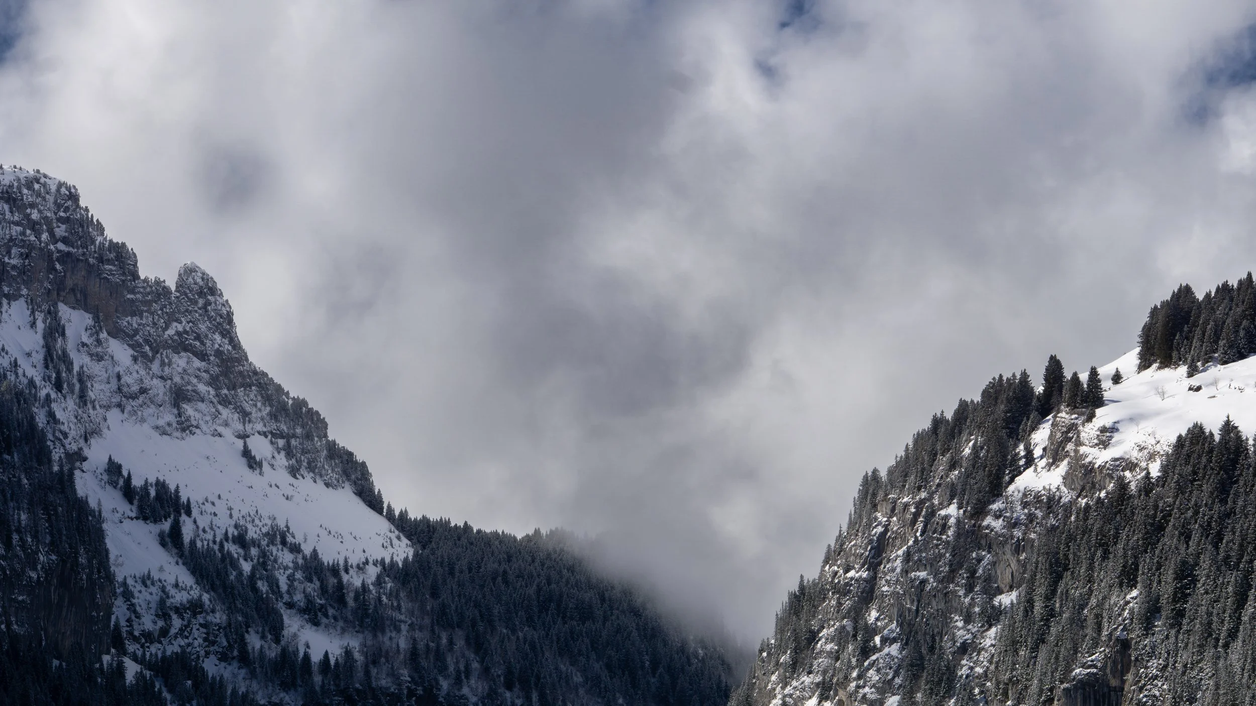 FLAINE-11.jpg