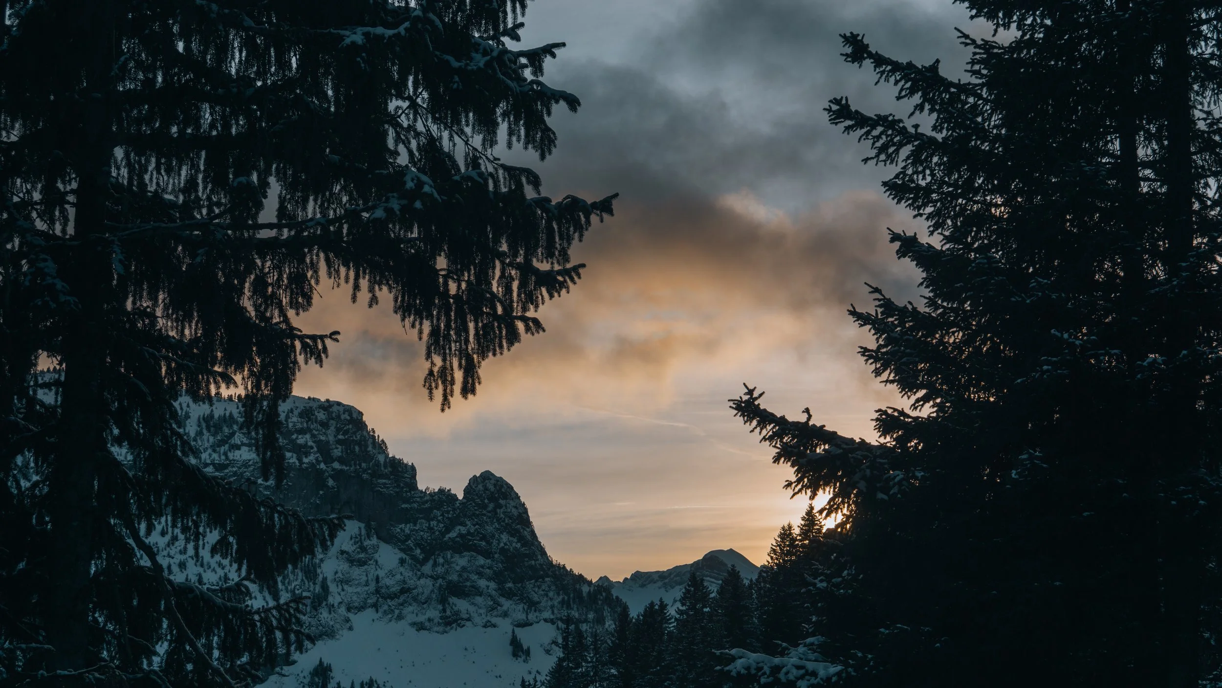 FLAINE-15.jpg