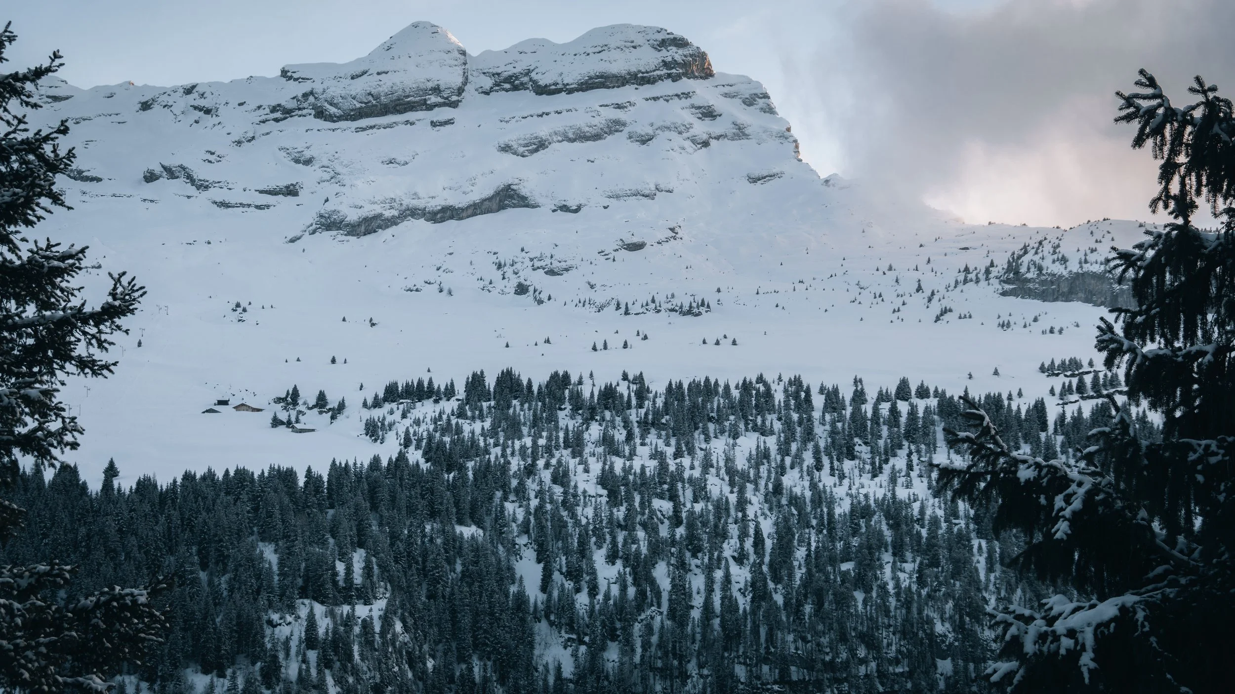 FLAINE-22.jpg