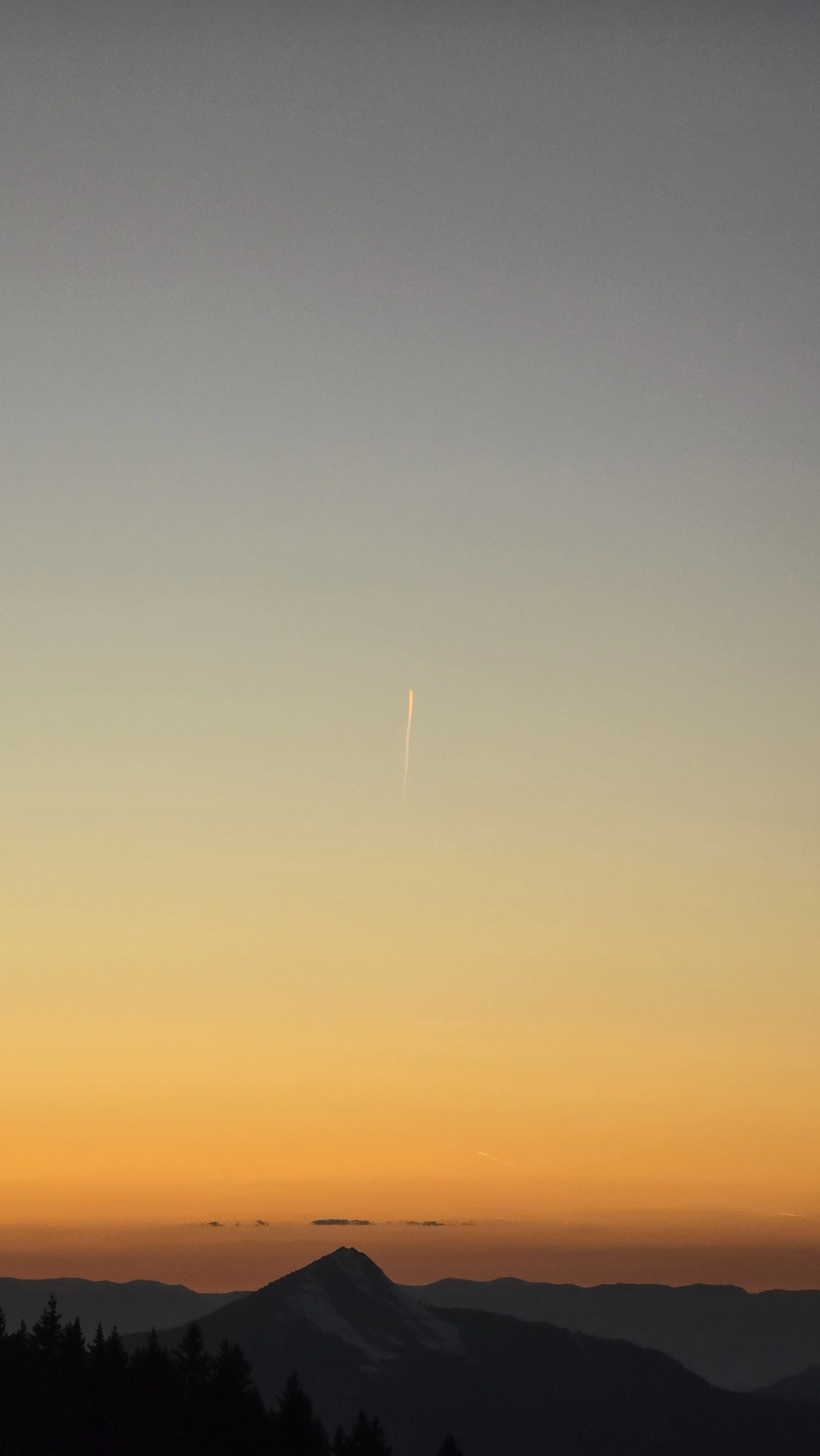 20260408_202458.jpg