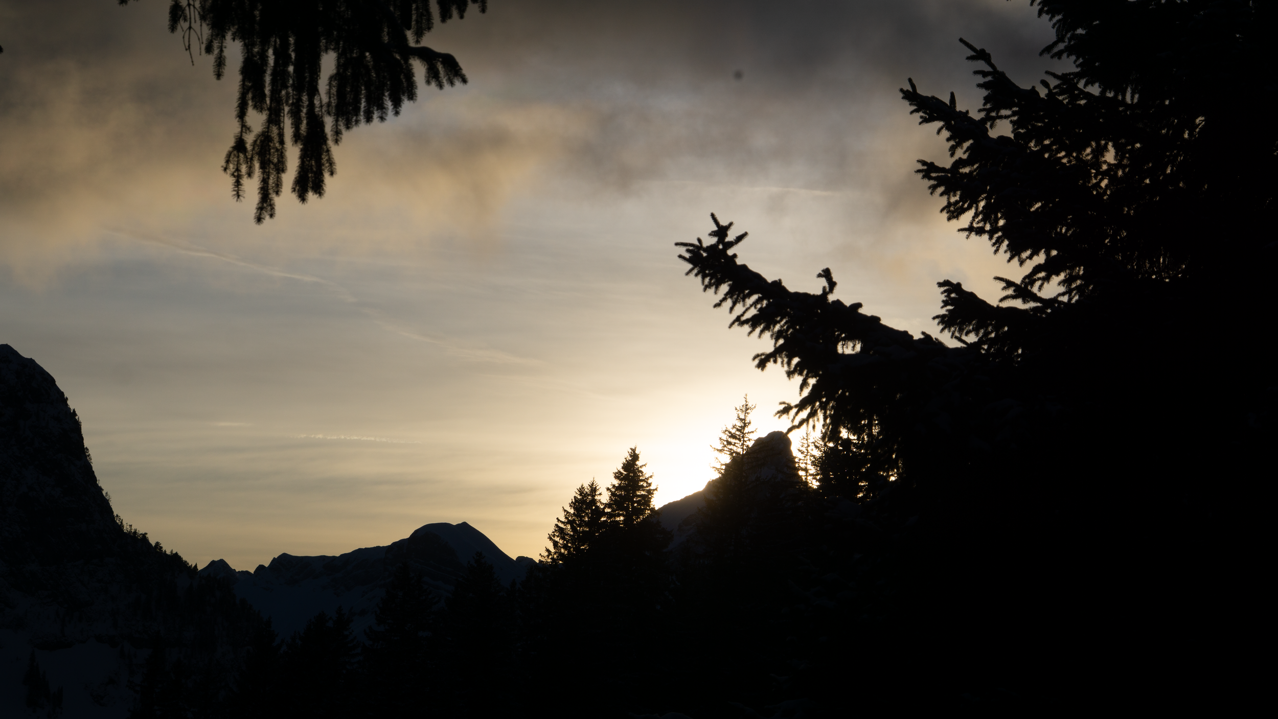 FLAINE_2026-23.png