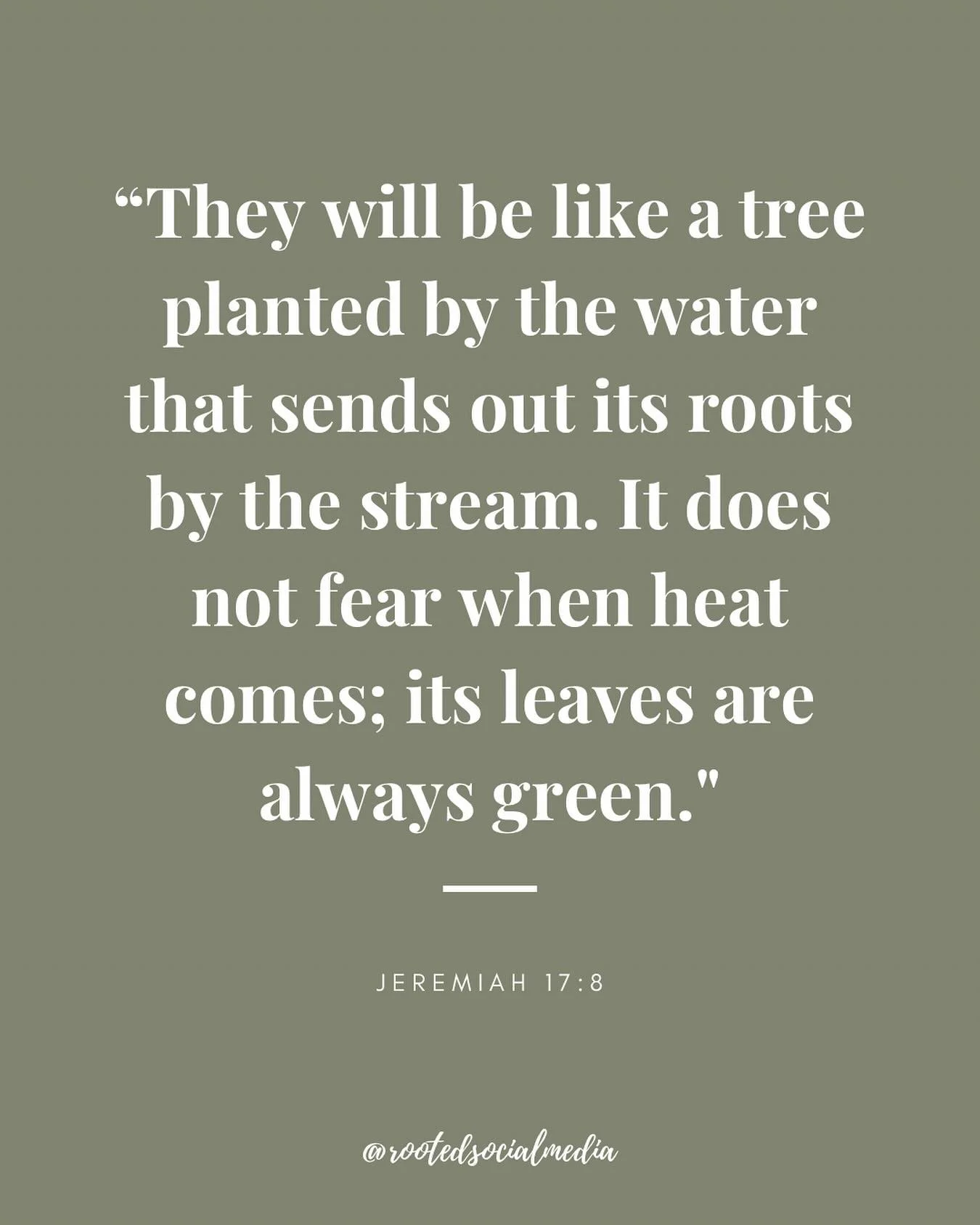 Here&rsquo;s your reminder to stay grounded, keep showing up, and trust in God&rsquo;s plan&mdash;even when it feels quiet. 🤍

#rootedsocialmedia #rootedinfaith #christianentrepreneur #socialmediamanagement