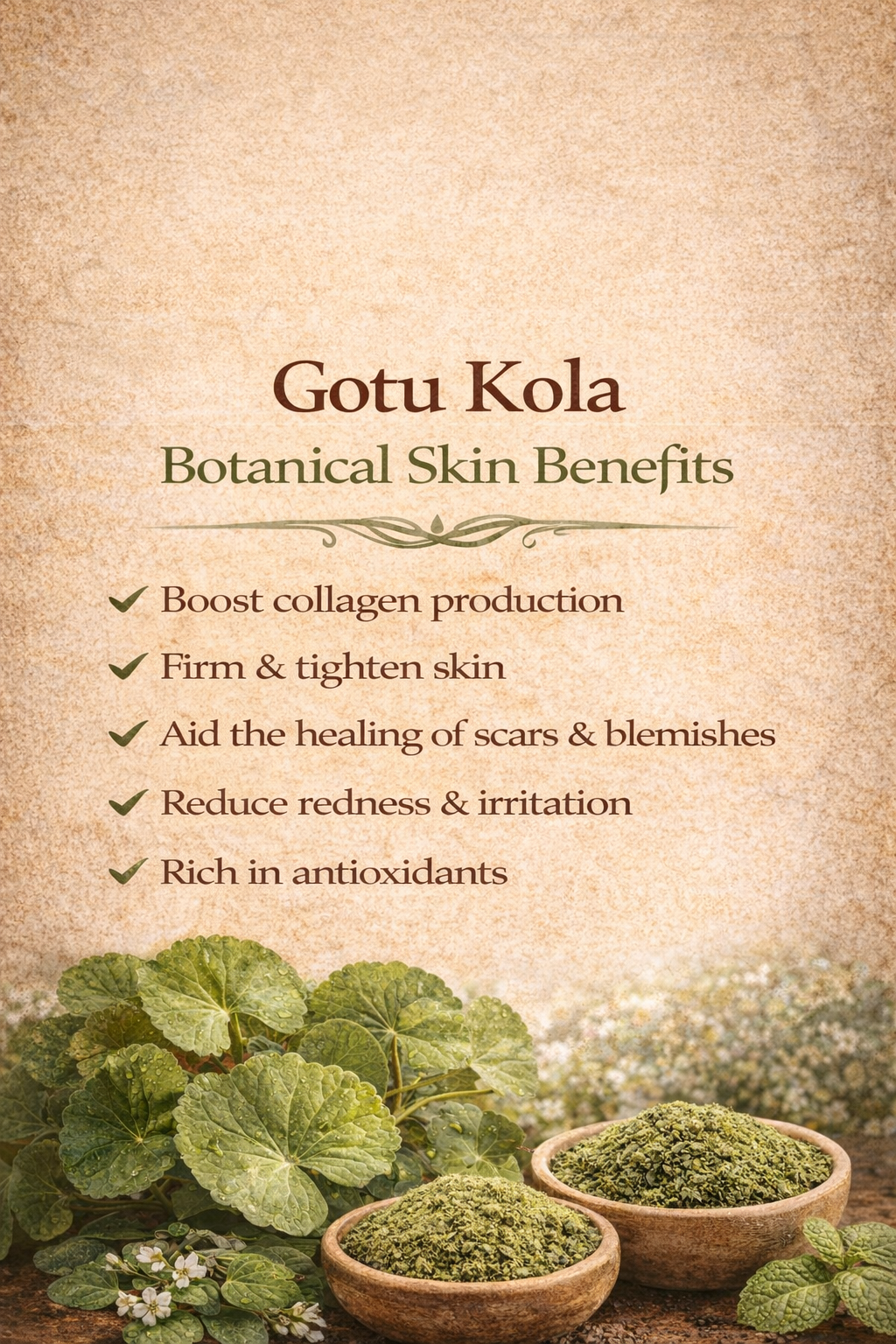 gotu kola.png