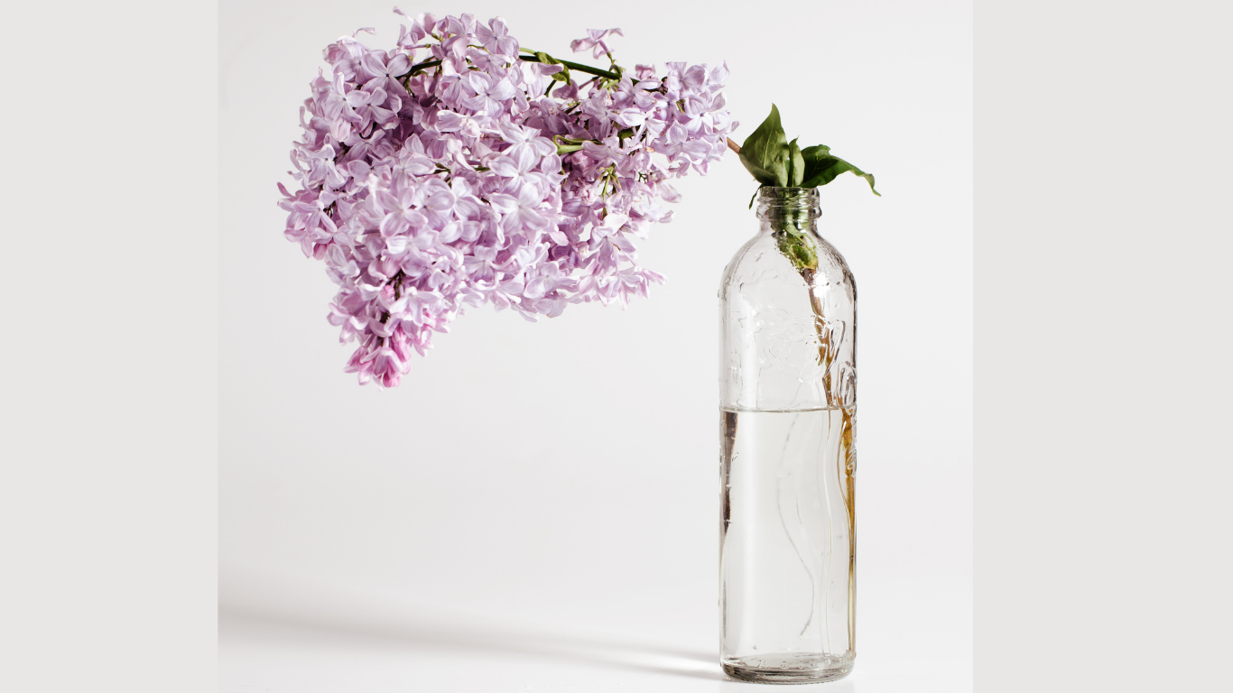 7 Day Jumpstart    *Contact for pricing and more!