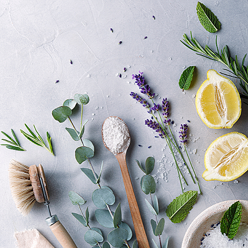 Bloom and Flourish Program *Contact for pricing and more!