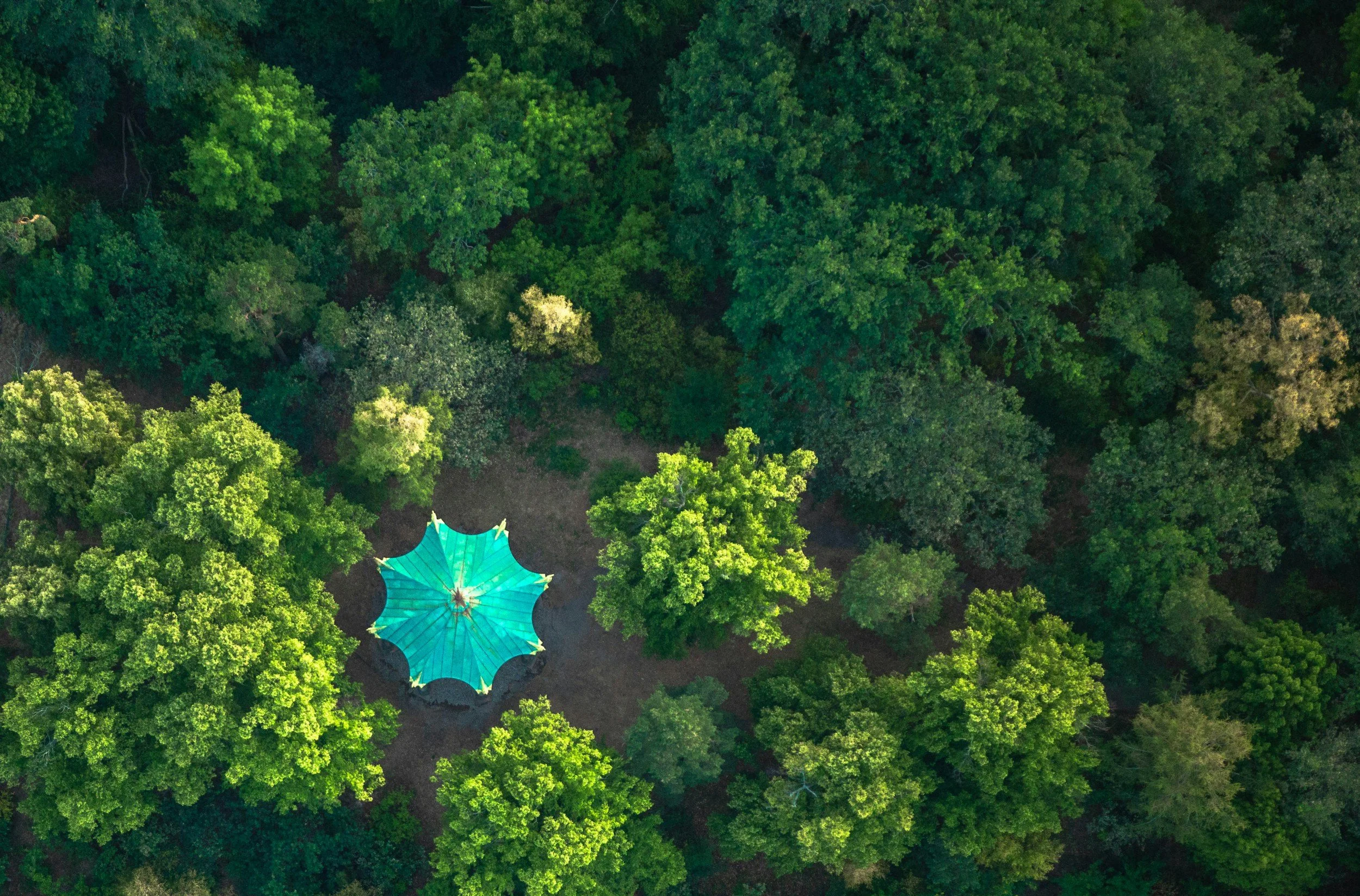 An aerial view of a green forest with a small clearing in the center that has a bright blue umbrella set up, surrounded by lush green trees.