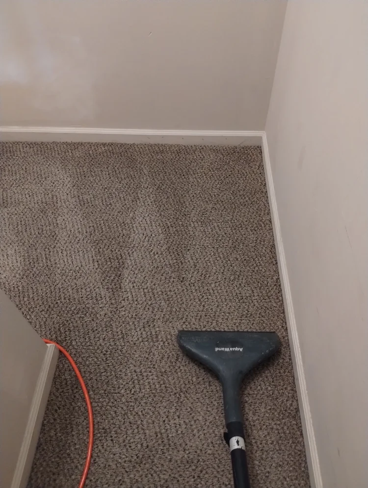 Carpet Cleaning 2