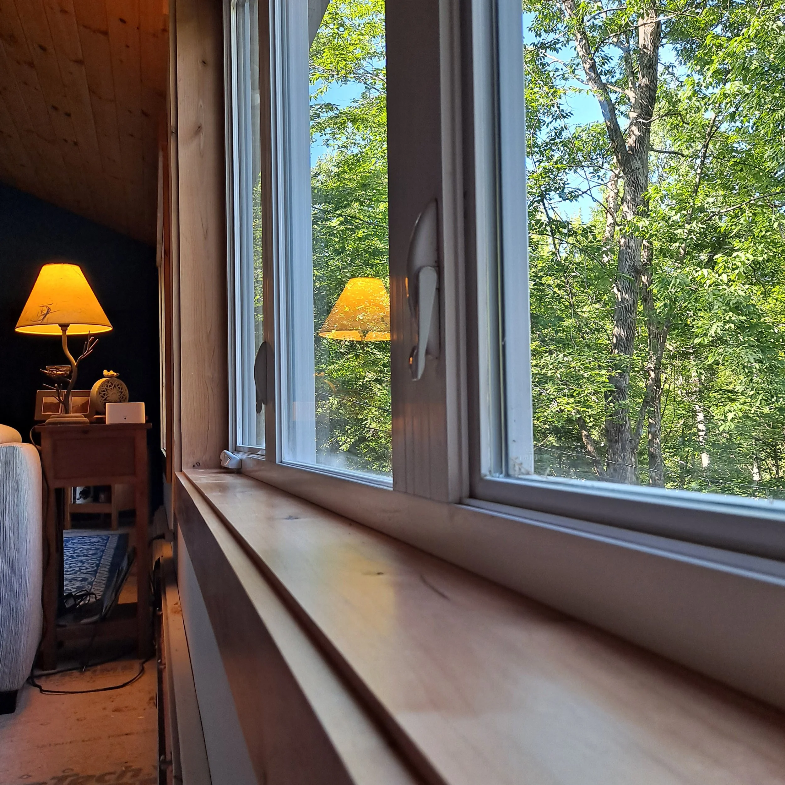 0603 windows.jpg