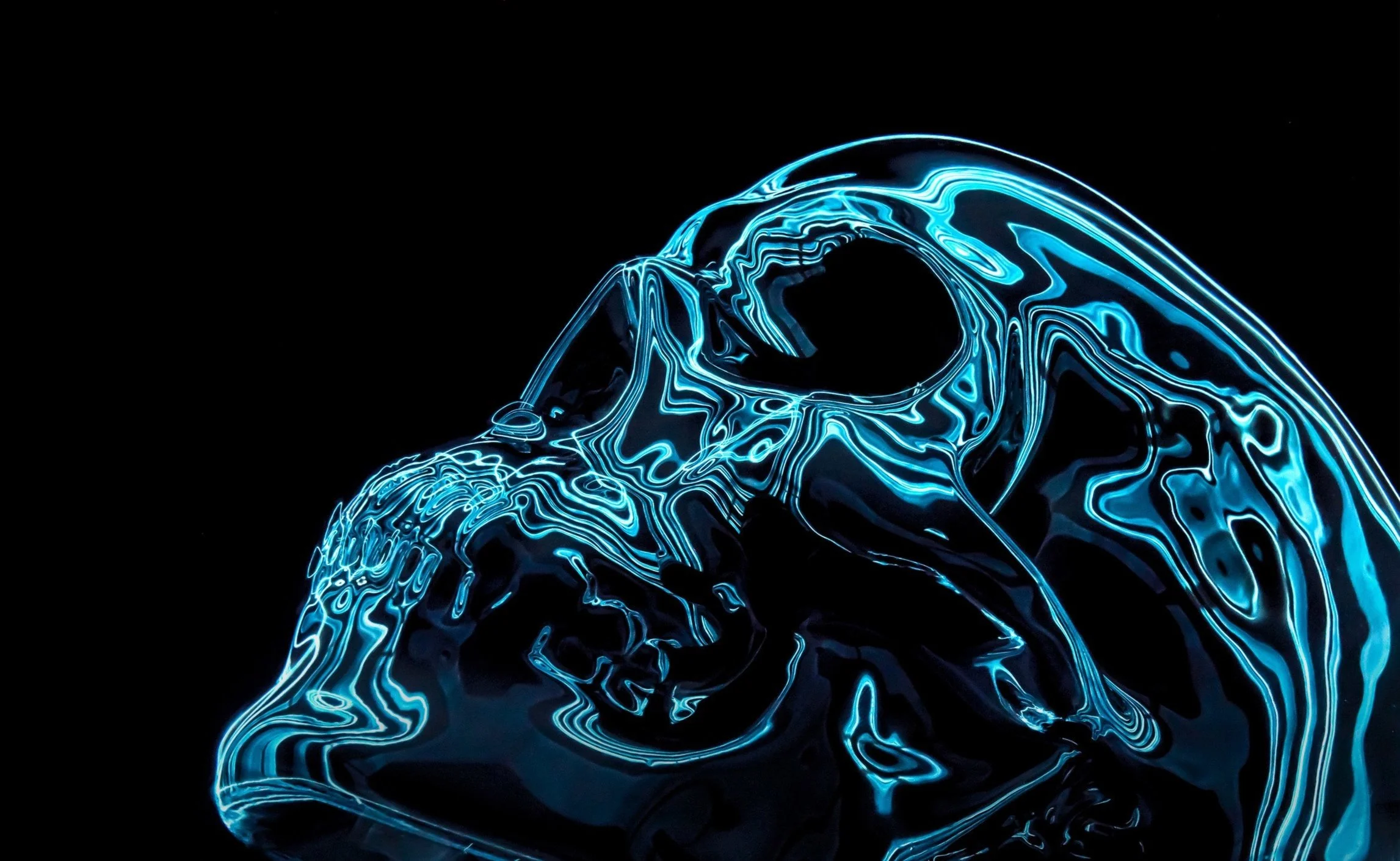 Artificial Anatomy 2.0