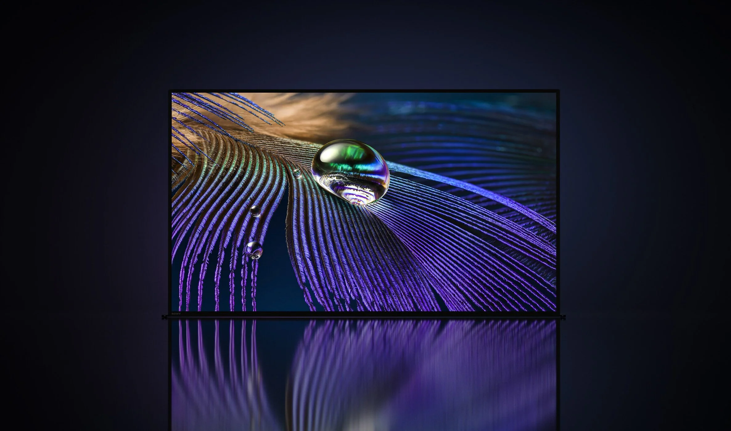 Sony Bravia