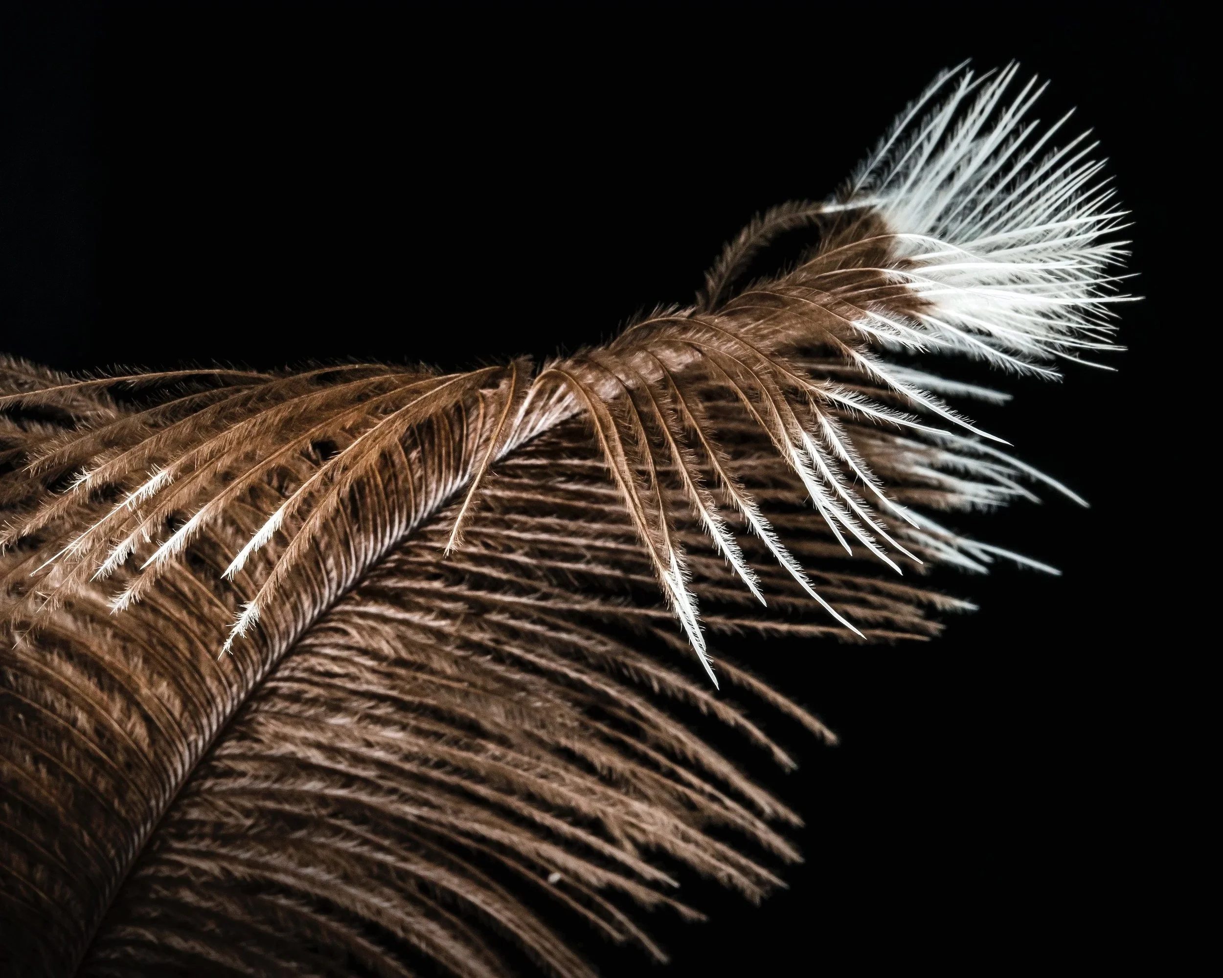 Flight_Macro_11.jpg