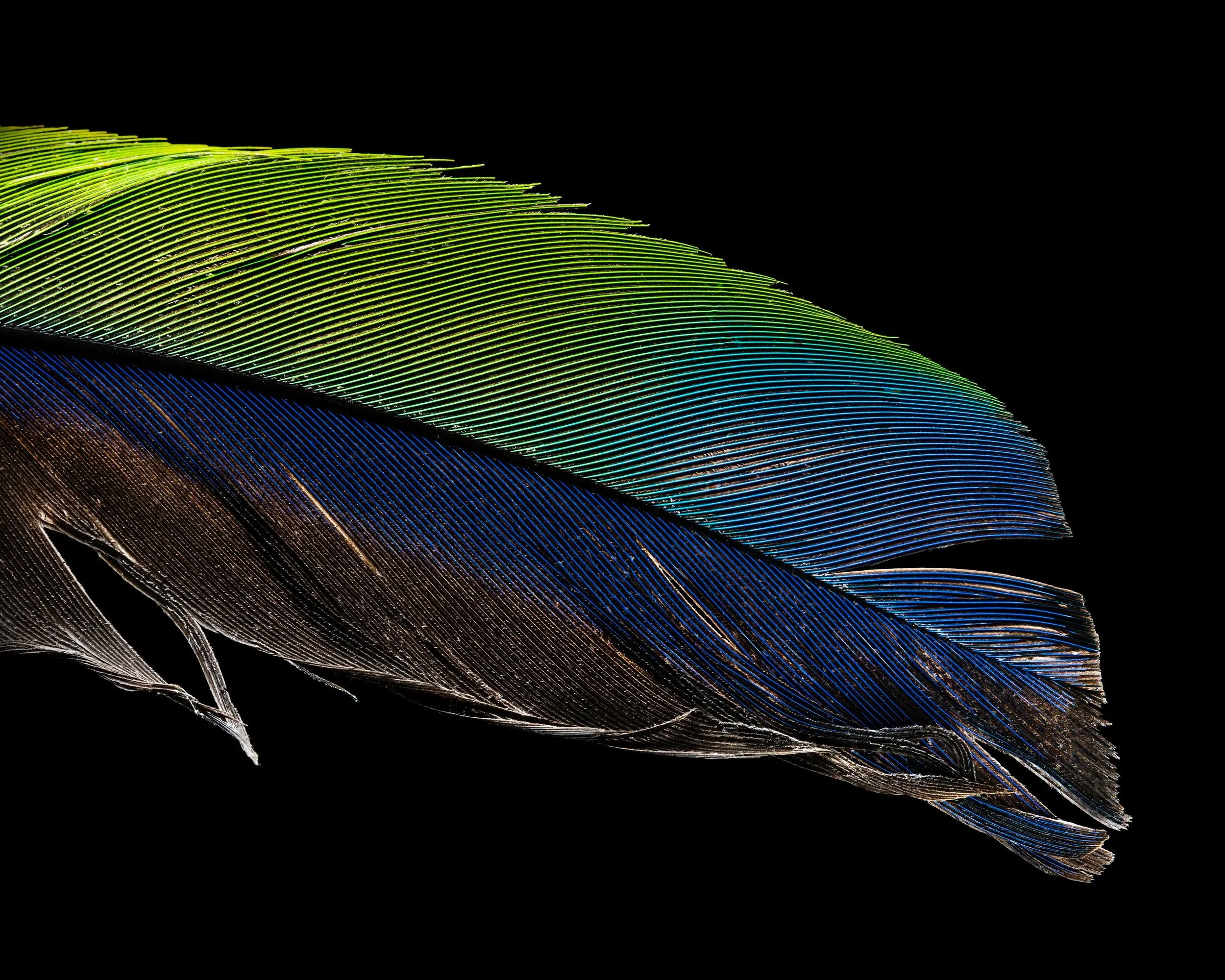 Flight_Macro_6.jpg