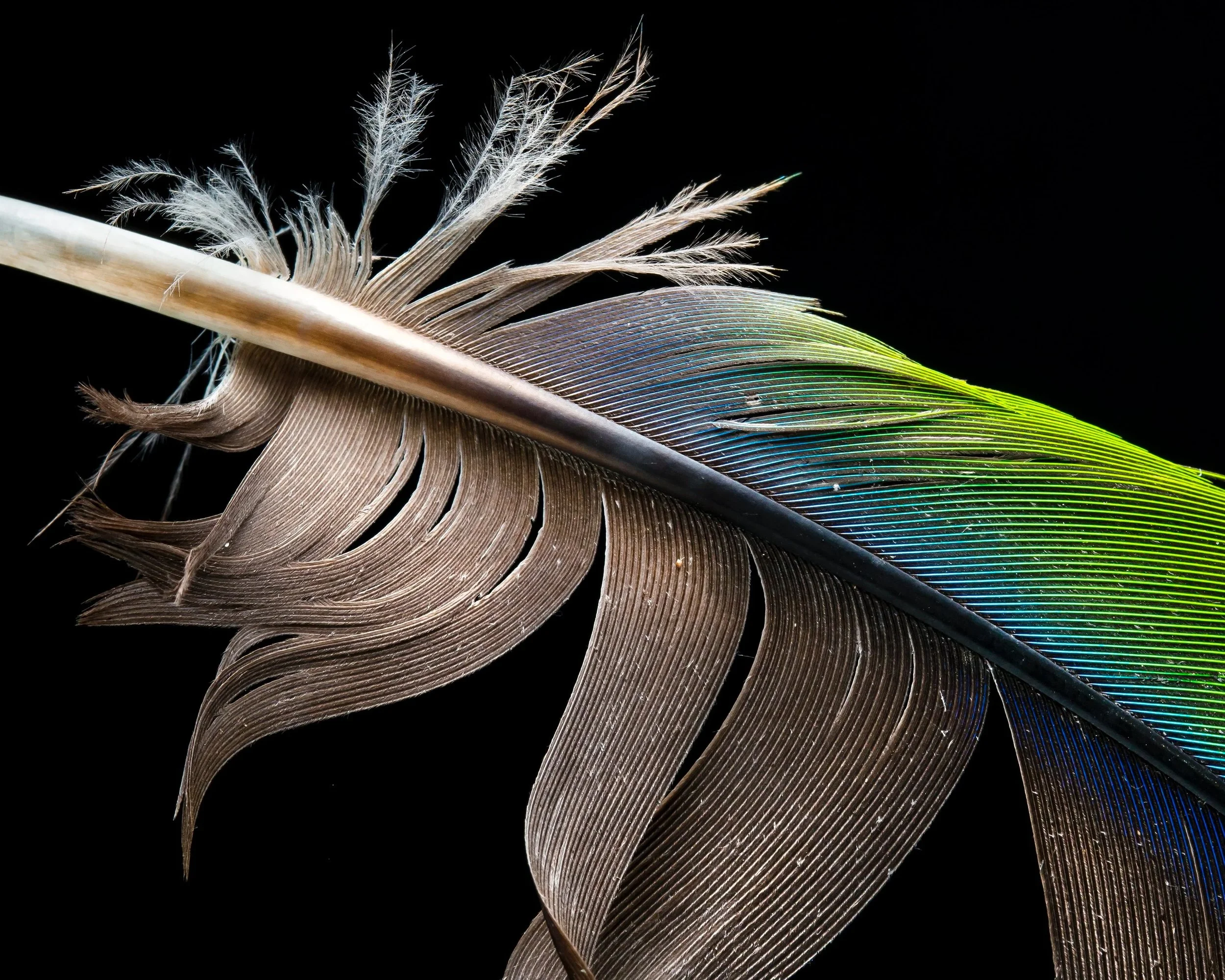 Flight_Macro_7.jpg