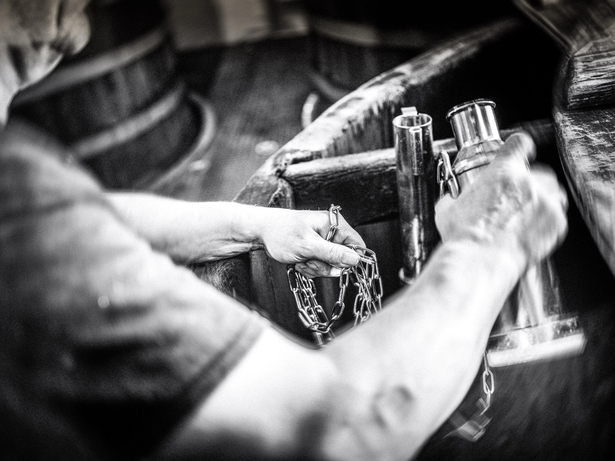 DSCF4675 Blur Grain-4.jpg