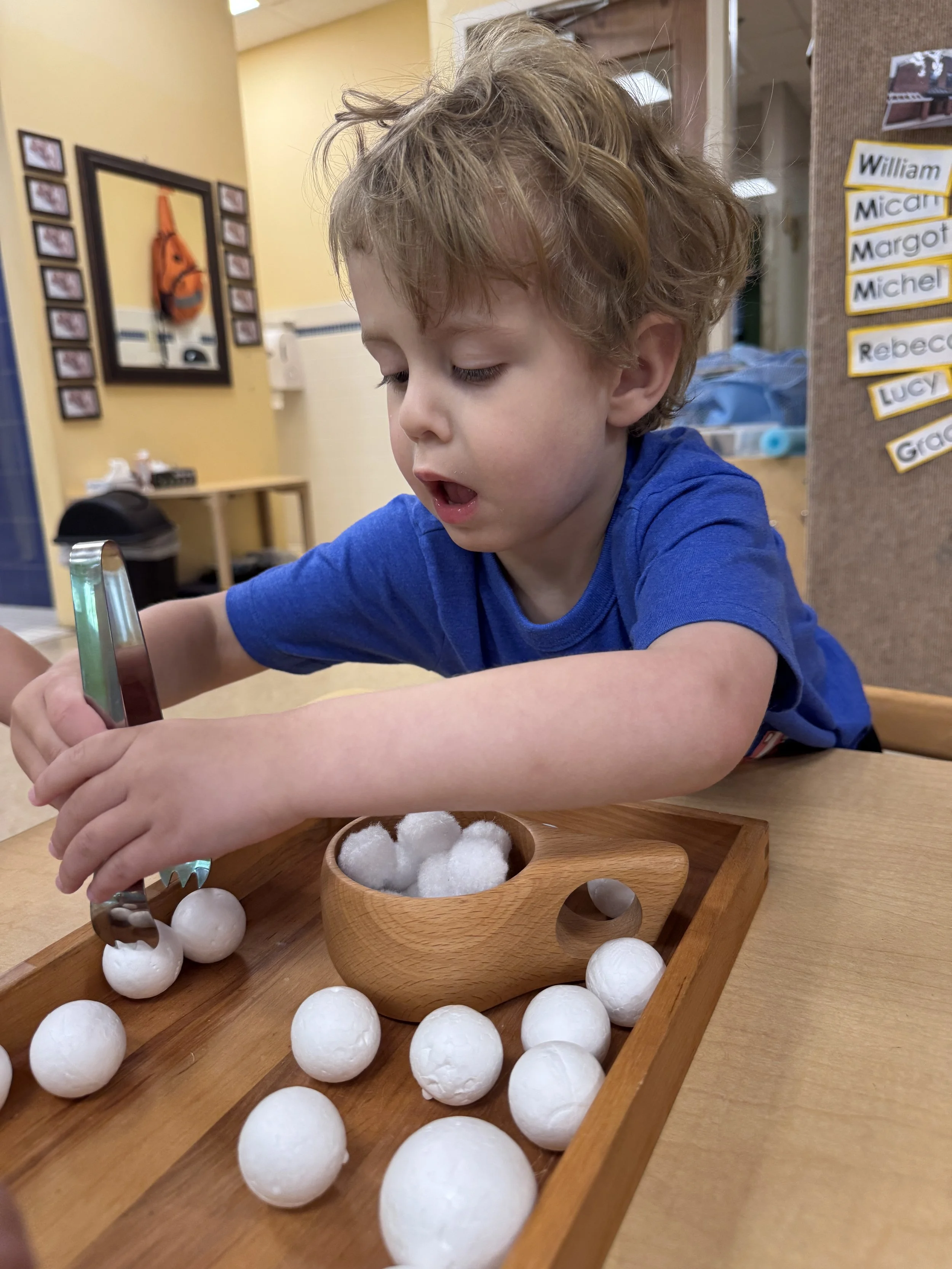 Young boy in a blue shirt playing with white foam balls and cotton balls in a classroom.