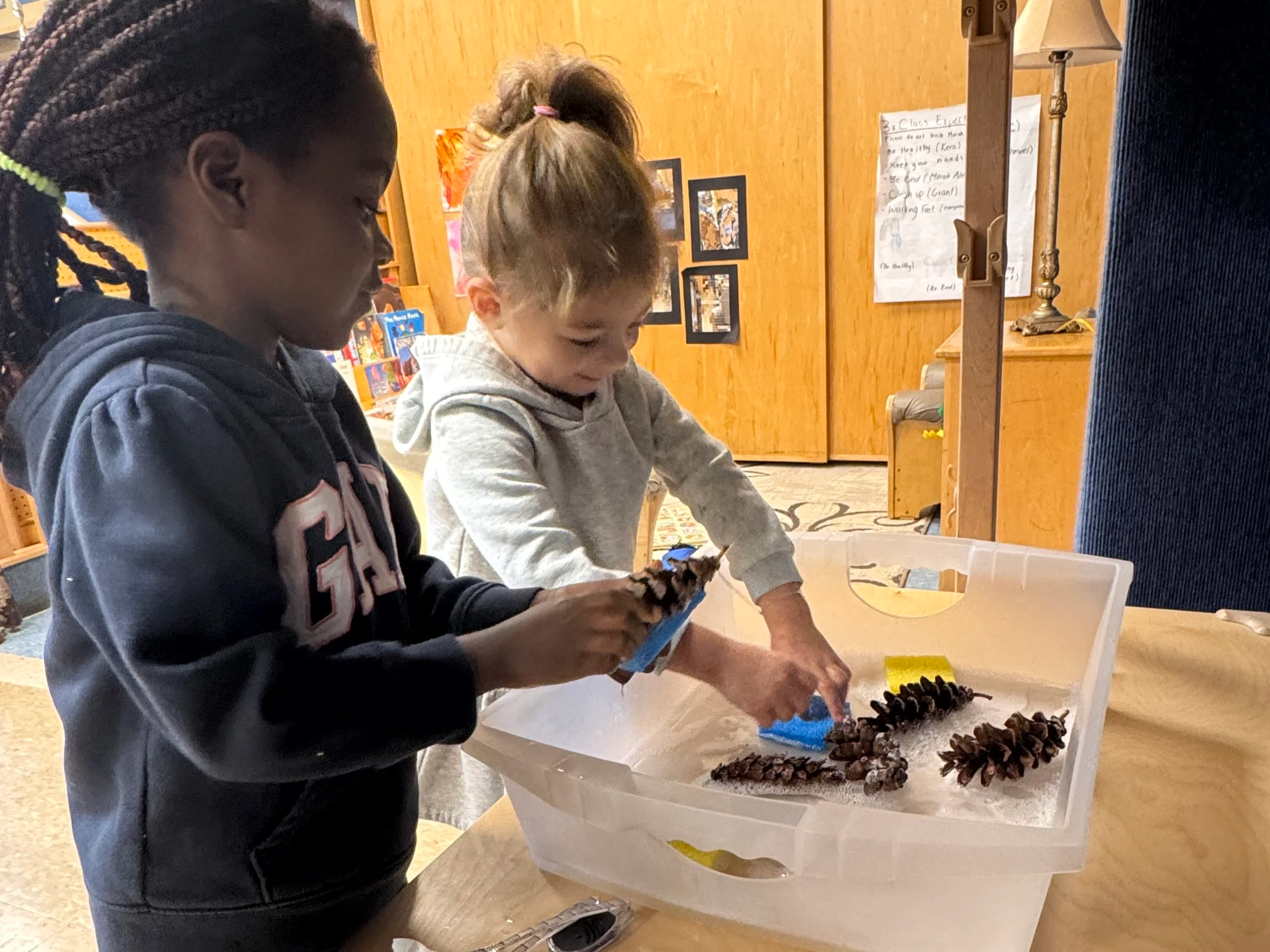 Two young girls are examining pinecones inside a plastic container filled with sand or salt, likely engaging in an educational activity indoors.