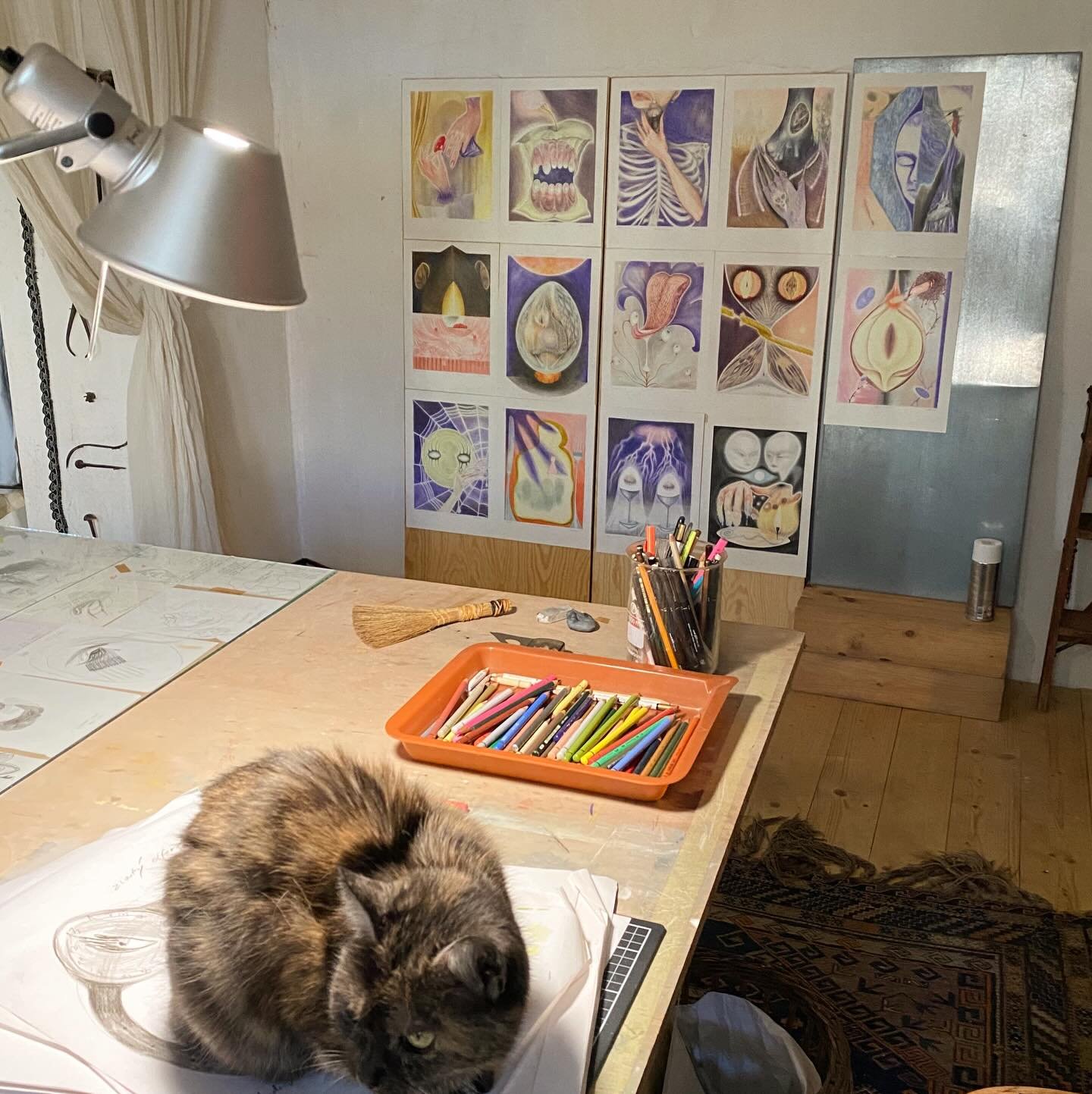 Studio Florendom stills with Tiloppi&rsquo;s patient supervision 🌚equinox in the background🌞 (so over hi res pics=P)