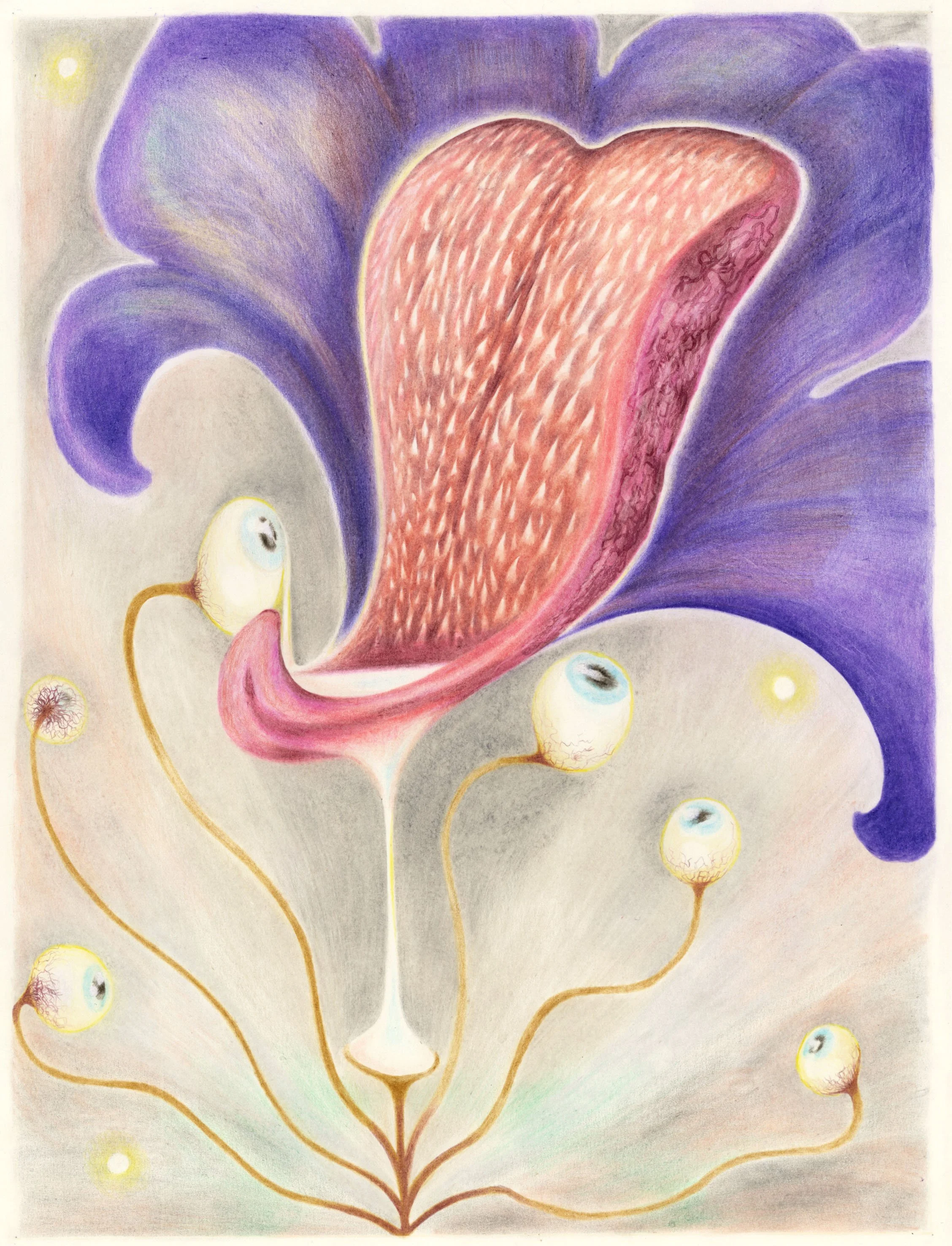 2026-01-22-0003 kopie_1.jpg