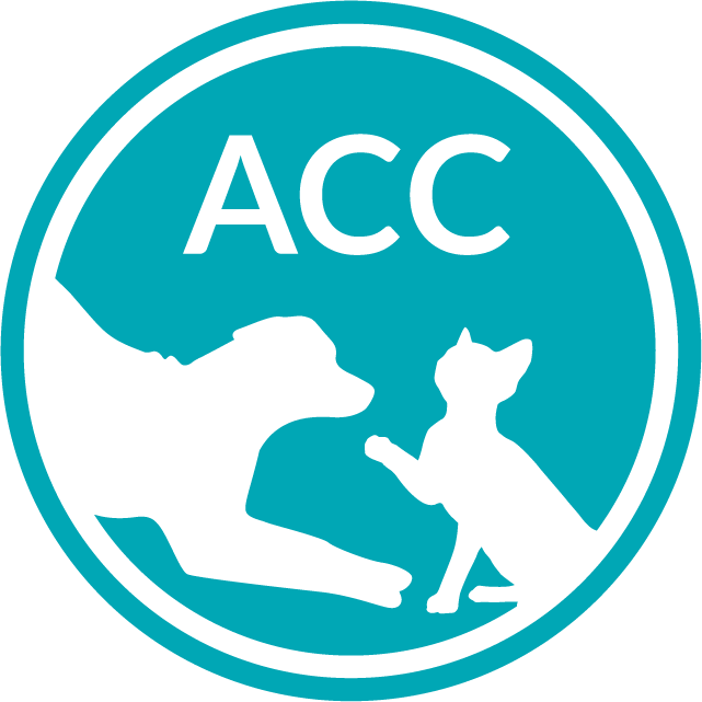 NYC ACC Adoption Event