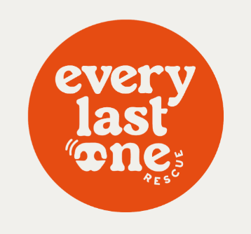 Every Last One Adoption Event - Brooklyn