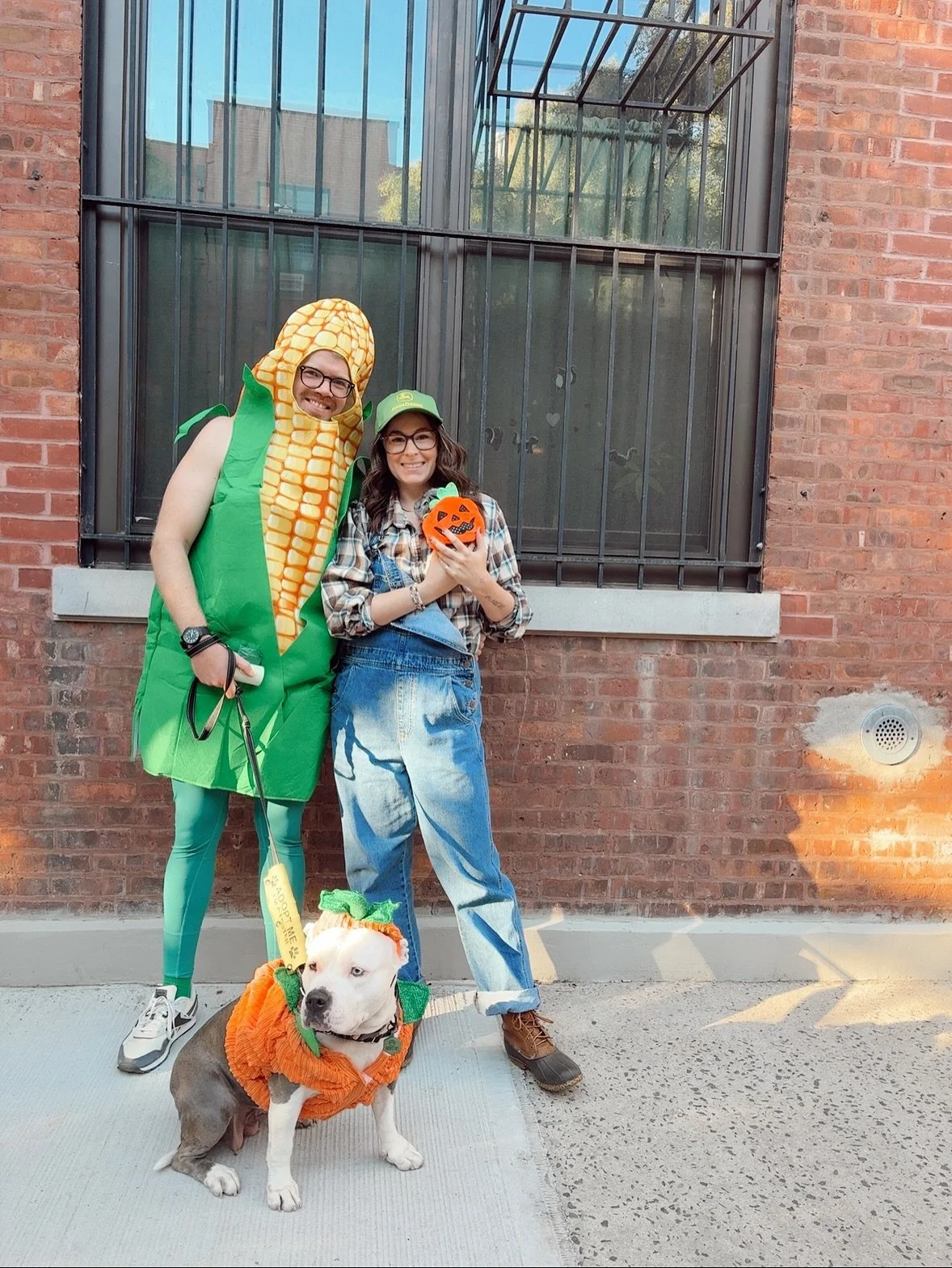 The crops are looking rather plump this season&hellip;.

Storm actually loved wearing a costume! She didn&rsquo;t even mind her pumpkin hat. Willow on the other hand was not pleased so costume came off ASAP! 

Storm is adoptable through @amaanimalres