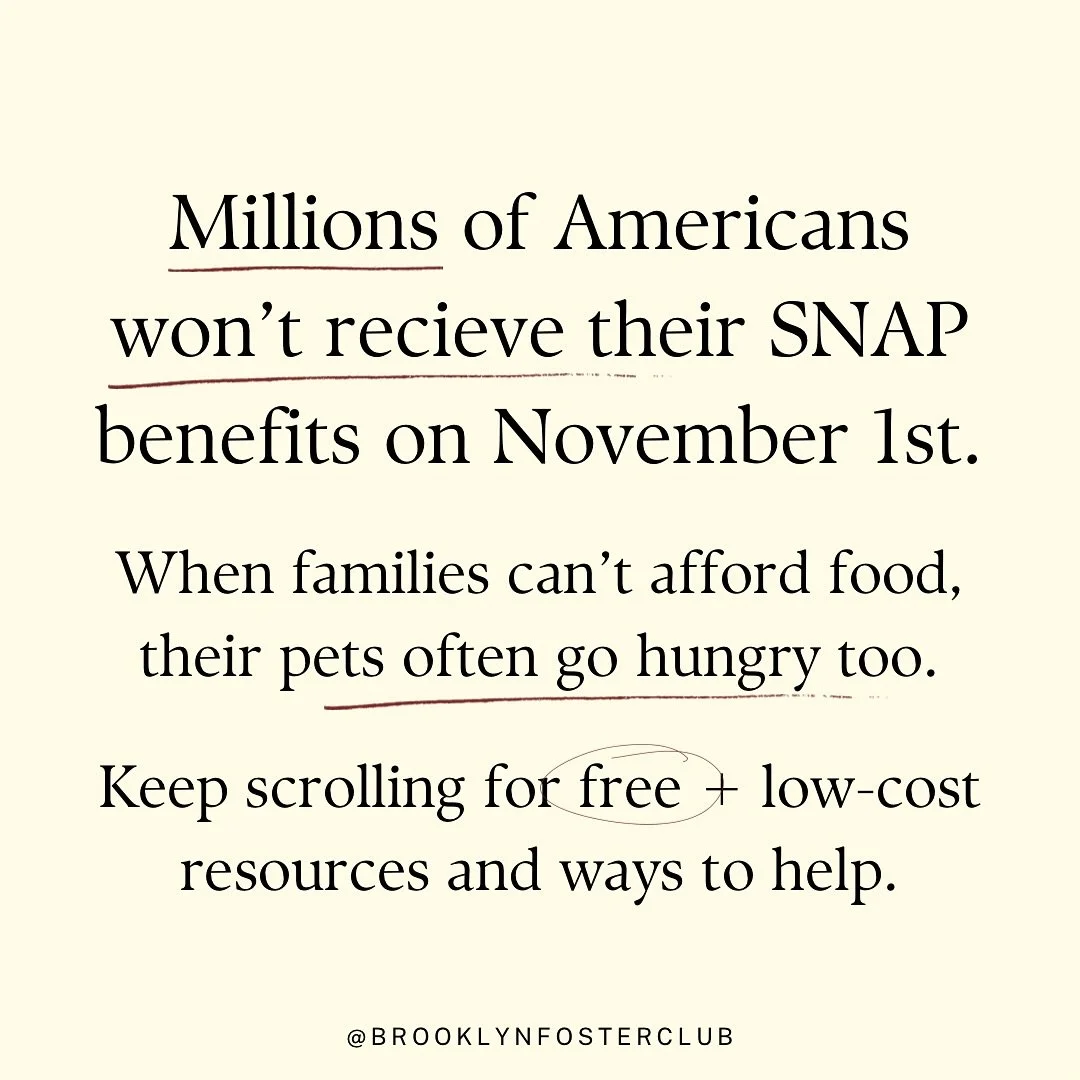 On November 1st, millions of Americans are set to lose access to SNAP benefits, the program that helps families afford basic groceries.

When you cut food assistance, you&rsquo;re not just taking food off people&rsquo;s tables, you&rsquo;re destabili