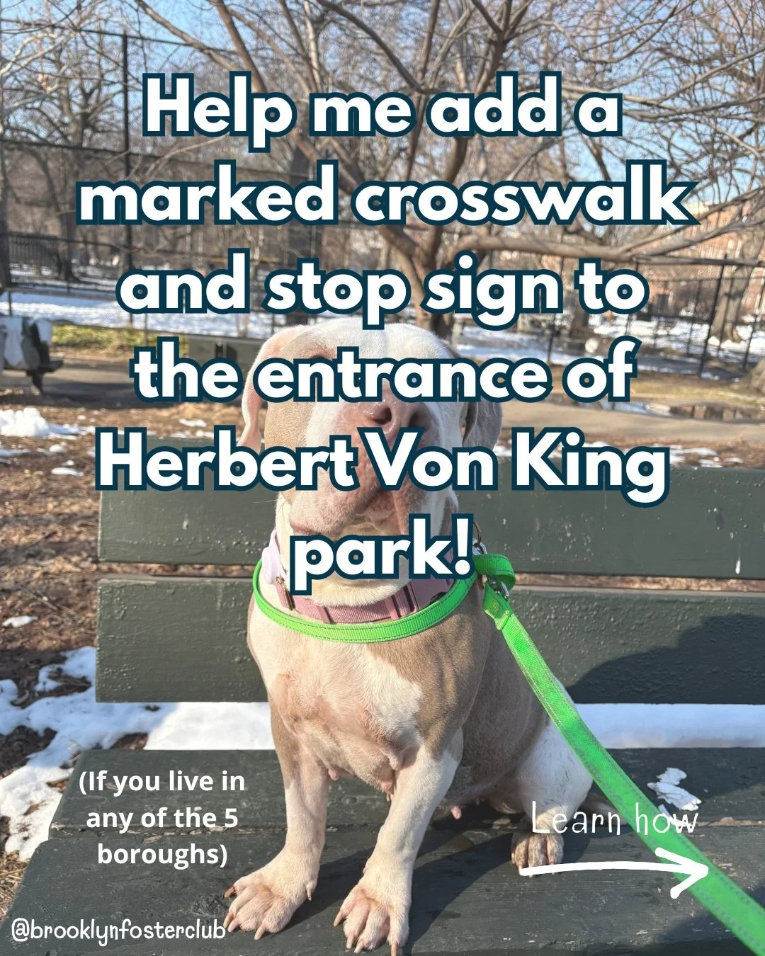 Help me add a marked crosswalk an stop sign to the entrance of Herbert Von King park! 

I use this entrance constantly and it&rsquo;s not safe for pedestrian traffic despite this entrance being the closest to the dog park and baseball fields. To help