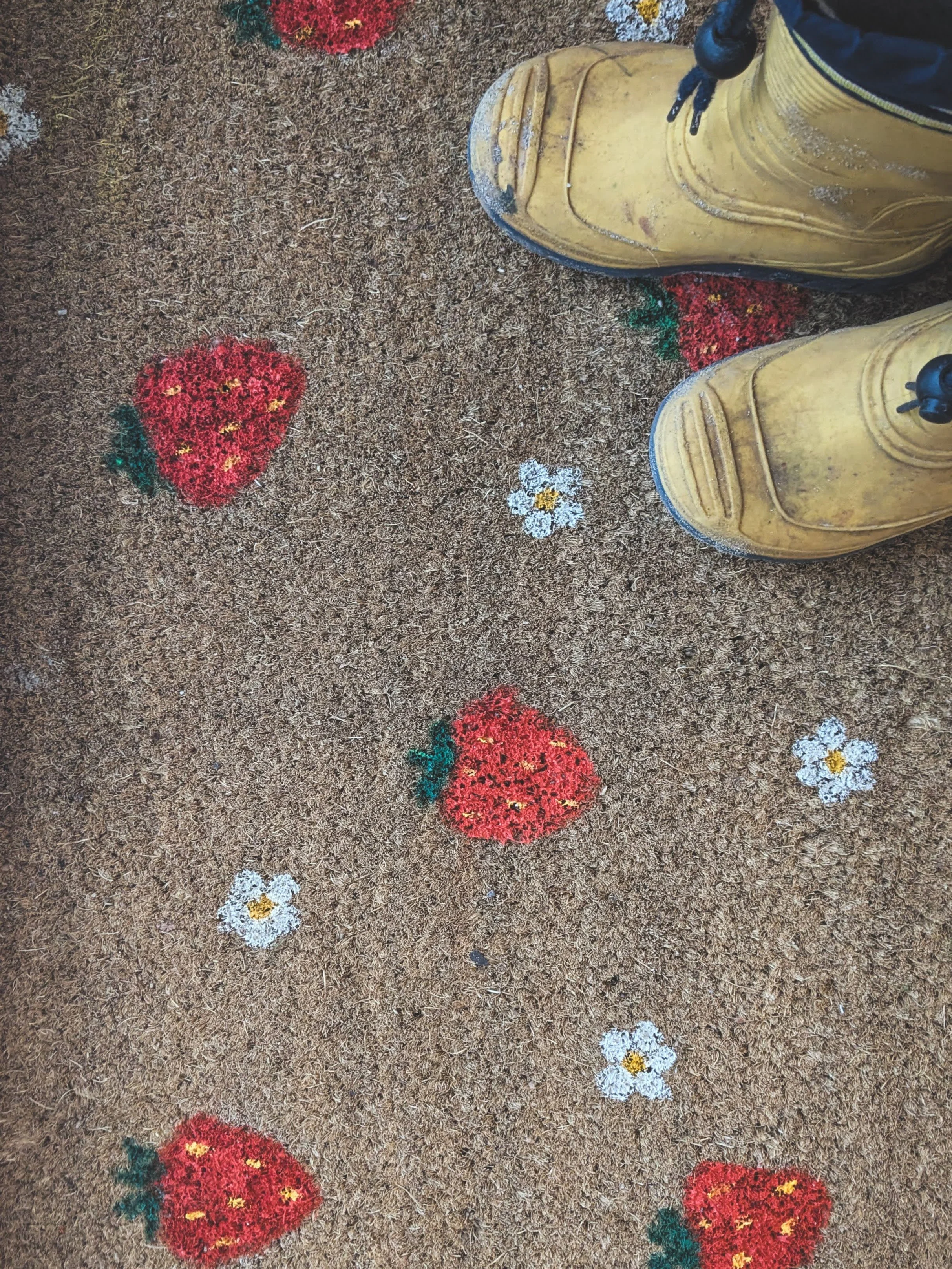 PXL_20260331_125434376 (1).jpg