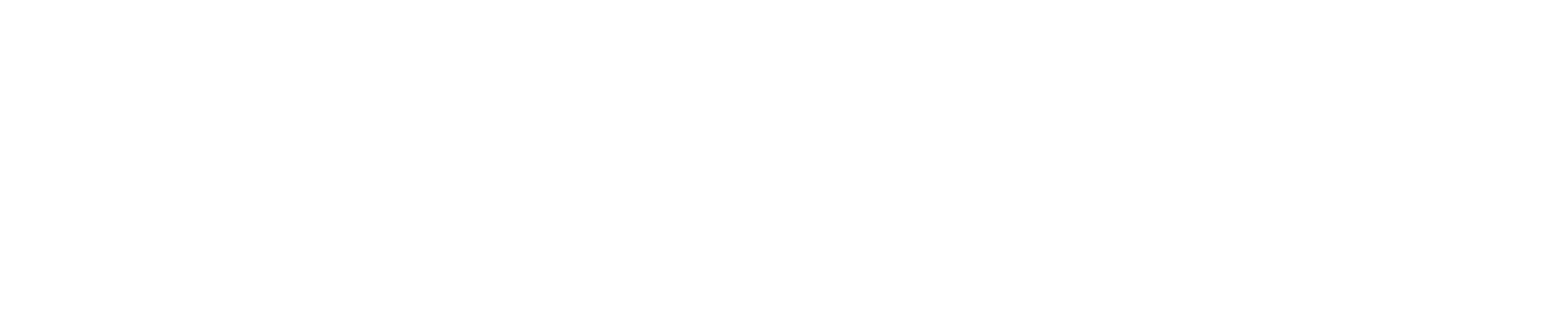 MagnaTrack logo with a stylized starburst graphic and patent number.