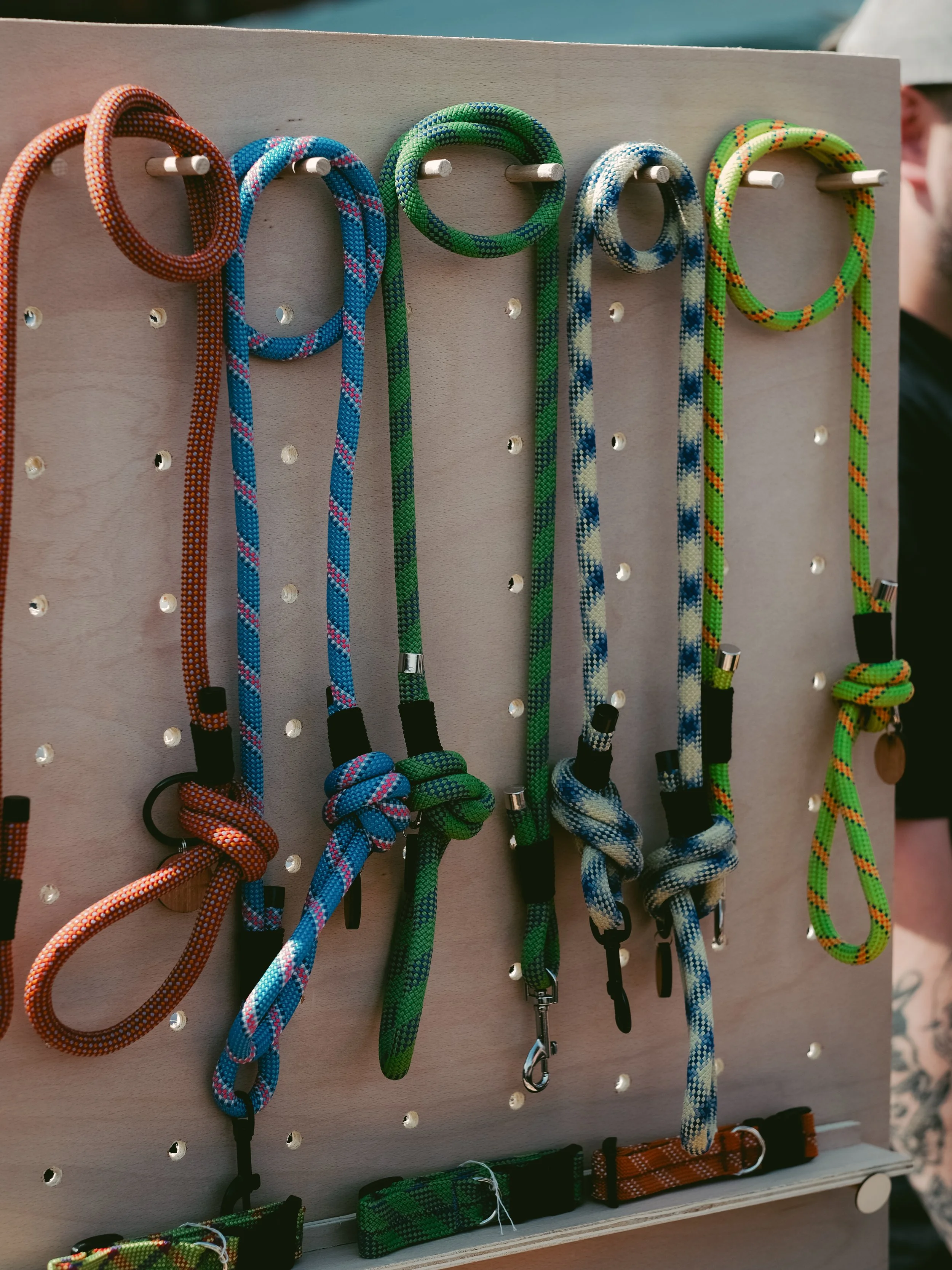 Display of colorful climbing pet leashes hung on hooks on a wooden board at an outdoor event.