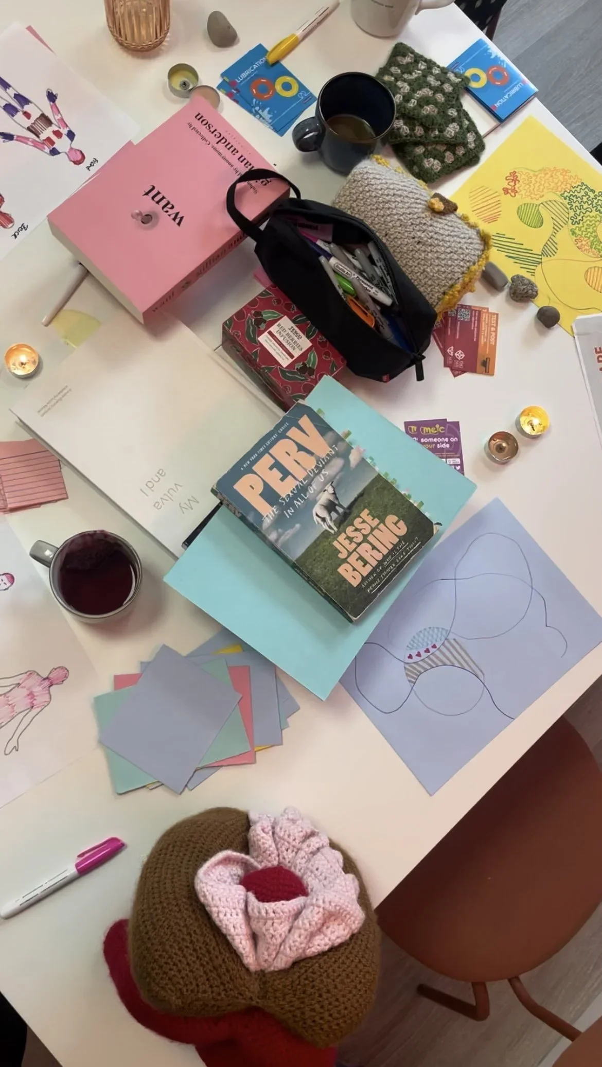 Sex education workshop materials including books, anatomy illustrations and resources for an adult sexology workshop in Brisbane