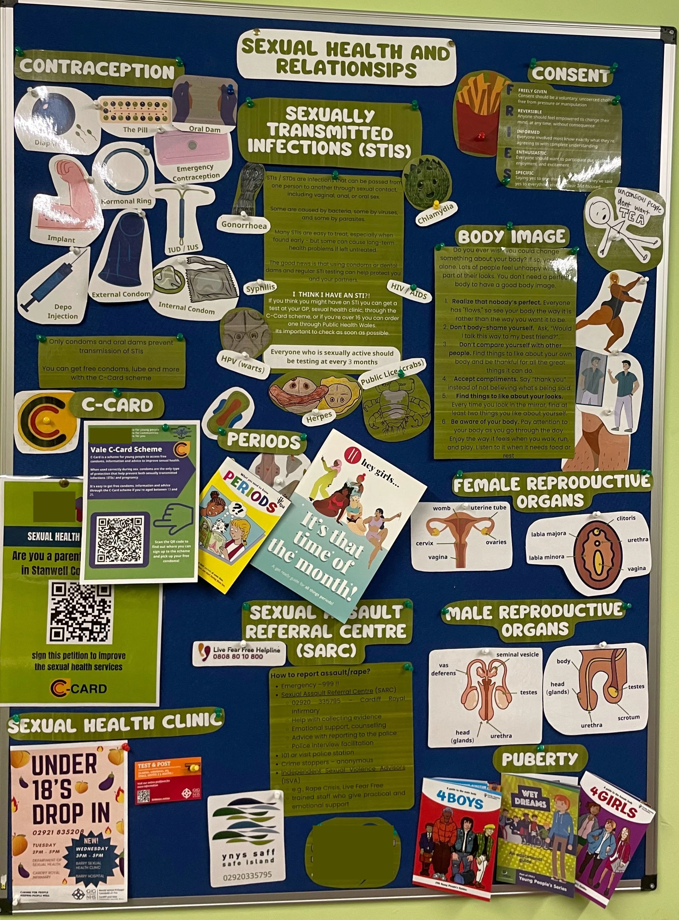 Sex education resource board covering contraception, STIs, consent, puberty and reproductive health for school students