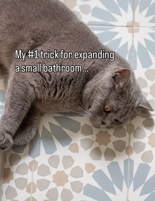 The #1 trick I use for expanding a small bath. 

It sounds totally counterintuitive - you might think a bold pattern would make a tiny space feel cluttered or claustrophobic, but it actually does the exact opposite.

It acts as a grounding anchor. A 