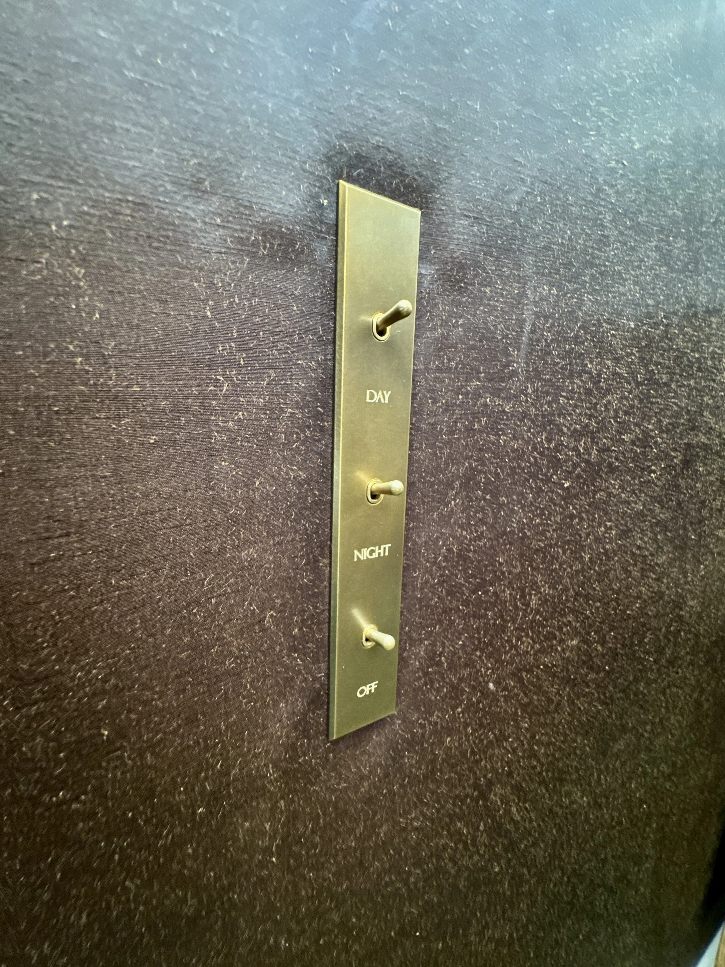 Light switch Michelle Shakallis Interiors.JPG