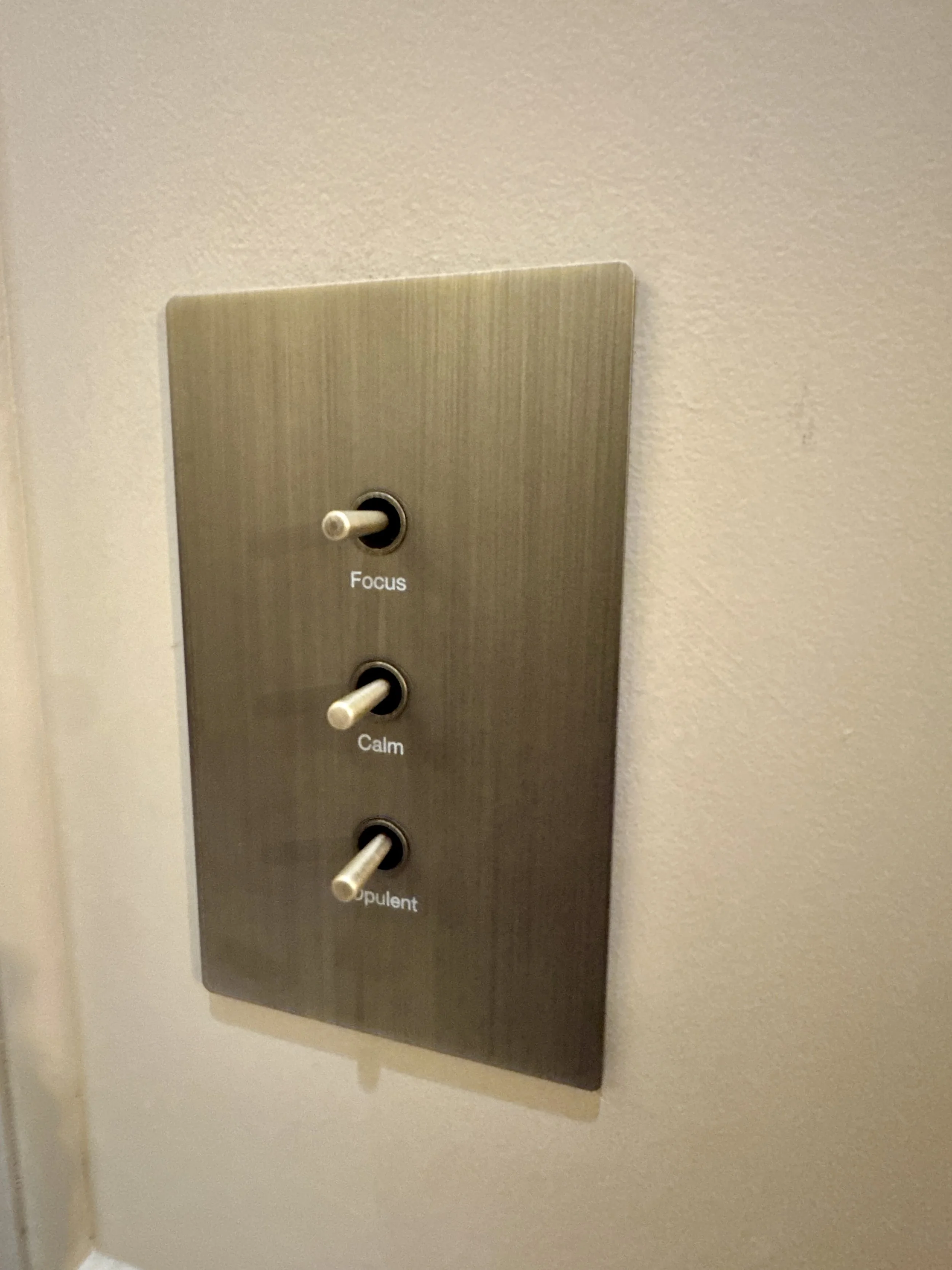 Labelled light switch Michelle Shakallis Interiors.JPG