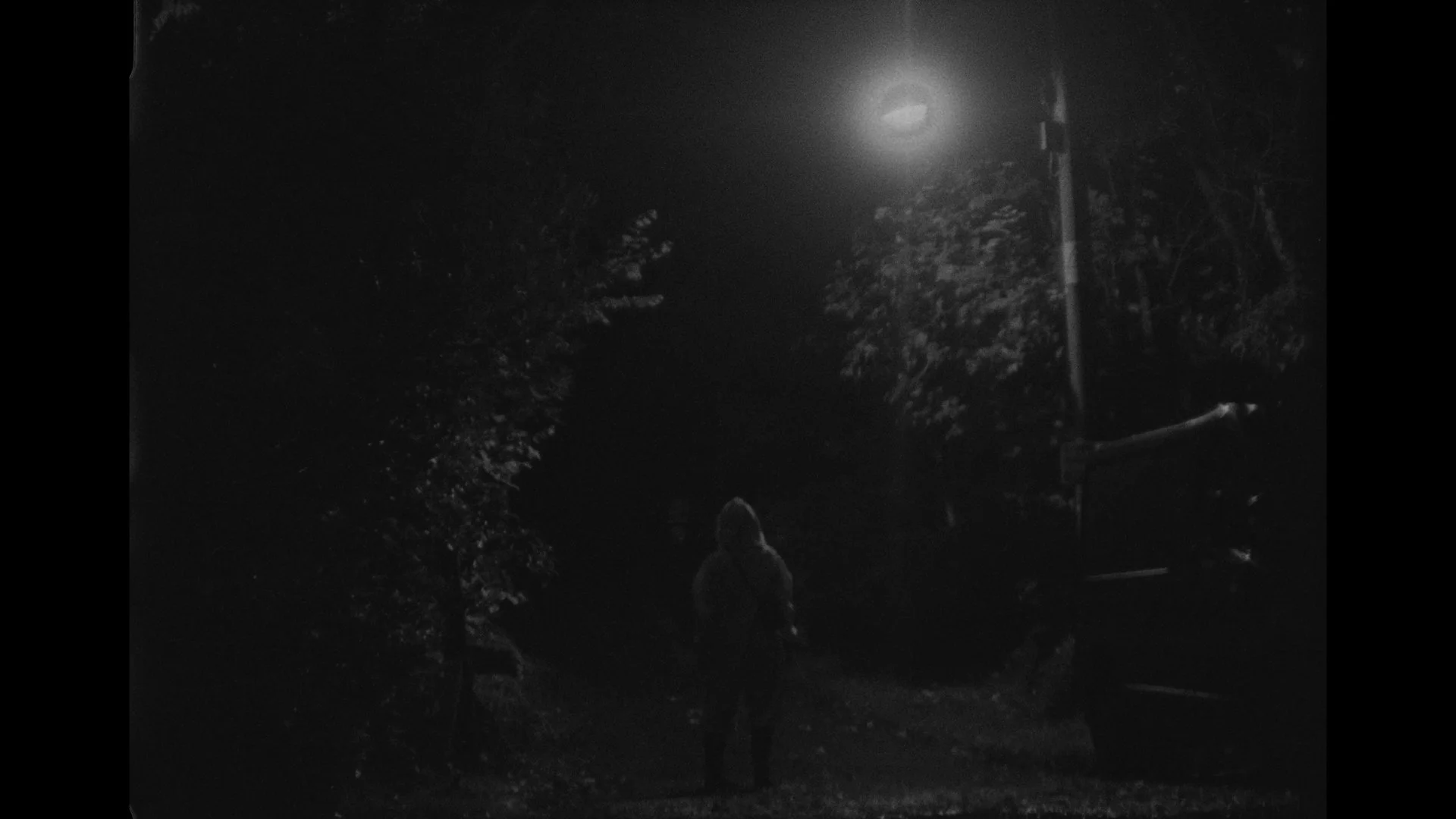 Still 2026-03-02 170505_2.2.1.jpg