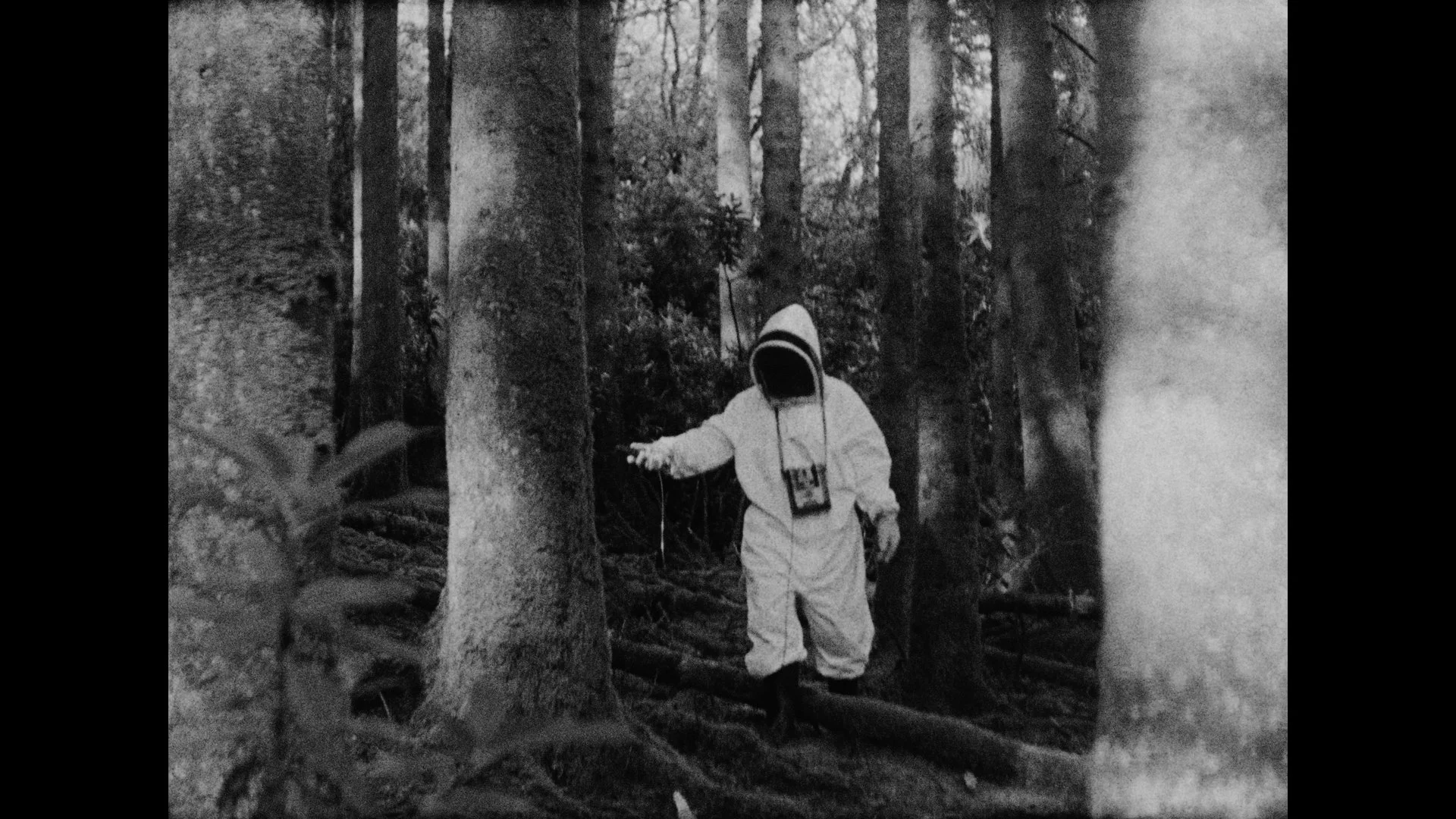 Still 2025-10-19 185610_3.1.4.jpg