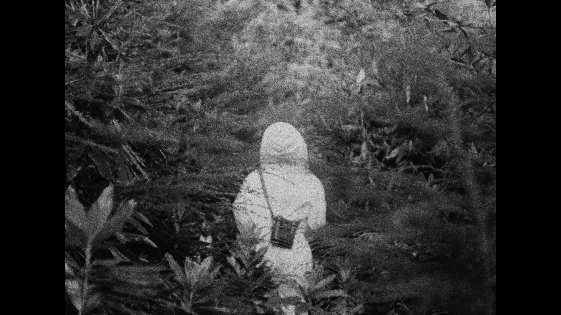 Still 2025-10-19 185610_3.1.6.jpg